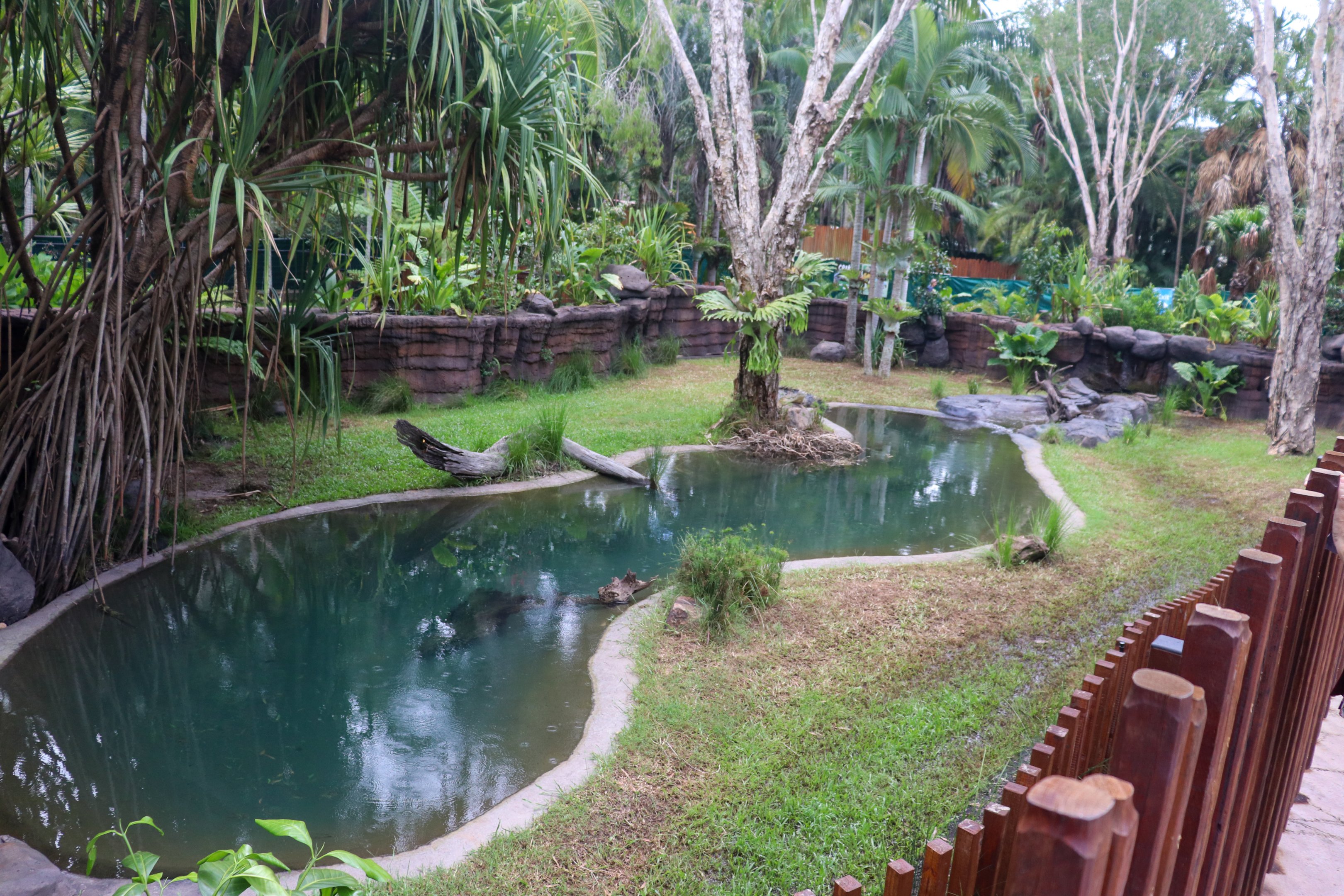 Renovated Crocodile Environmental Park (Opened 2020) - Second Saltwater Crocodile Enclosure