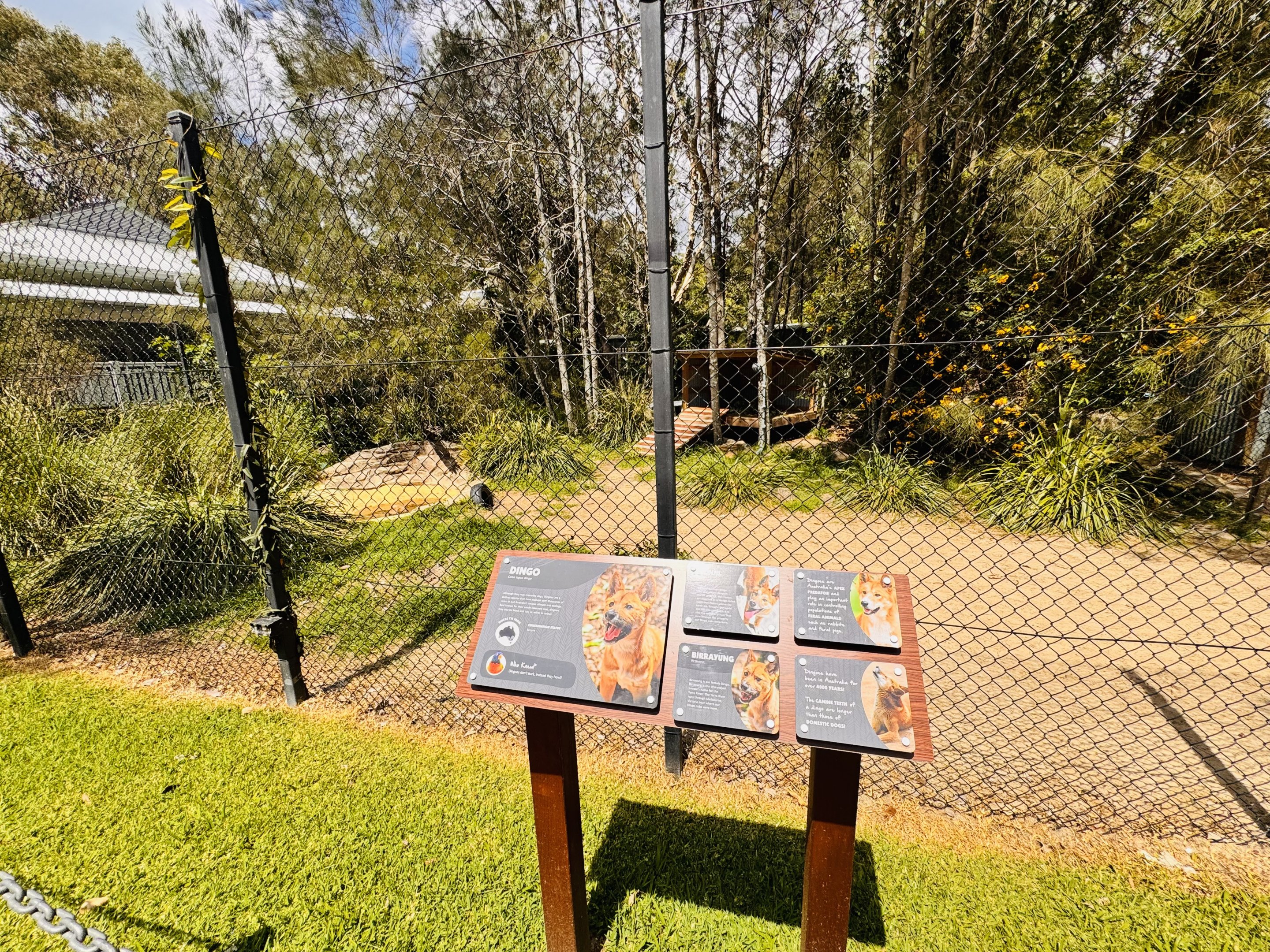 Renovated dingo enclosure