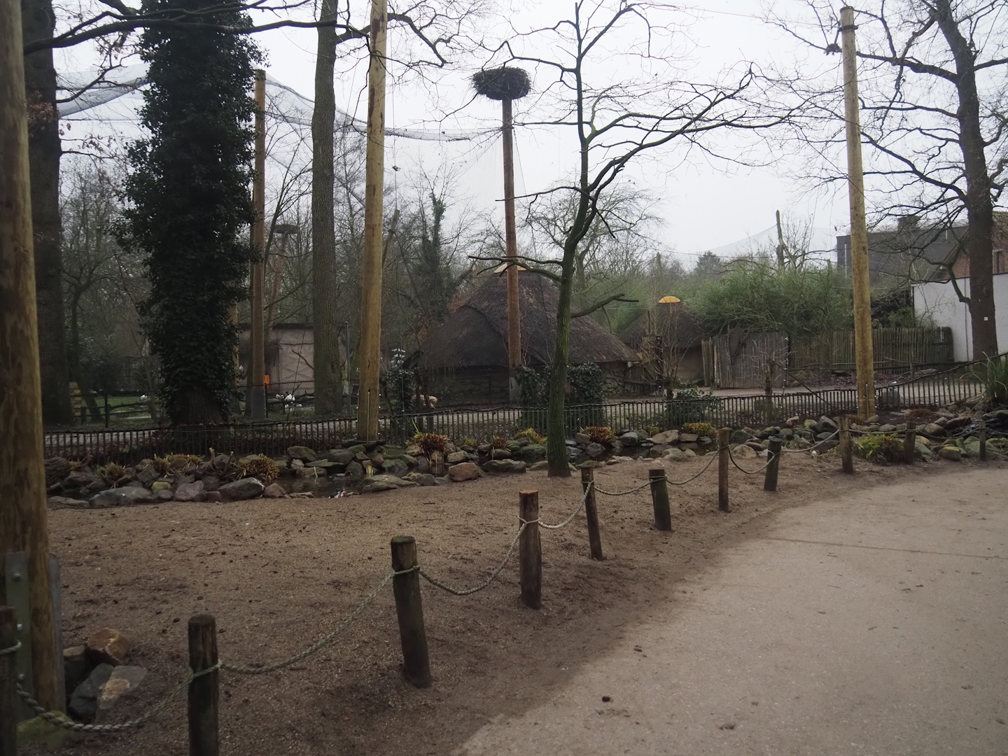 Renovated European aviary with new poles and now more open after removal of vegetation, 2024-12-29