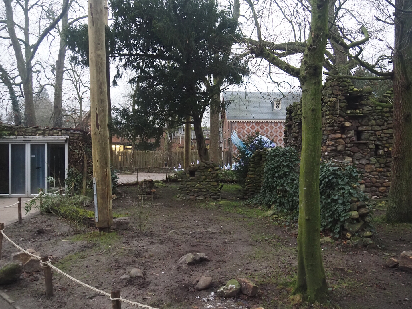 Renovated European aviary with new poles and now more open after removal of vegetation, 2024-12-29