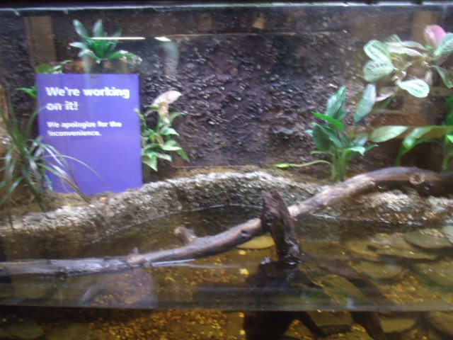 Renovated Exhibit #2