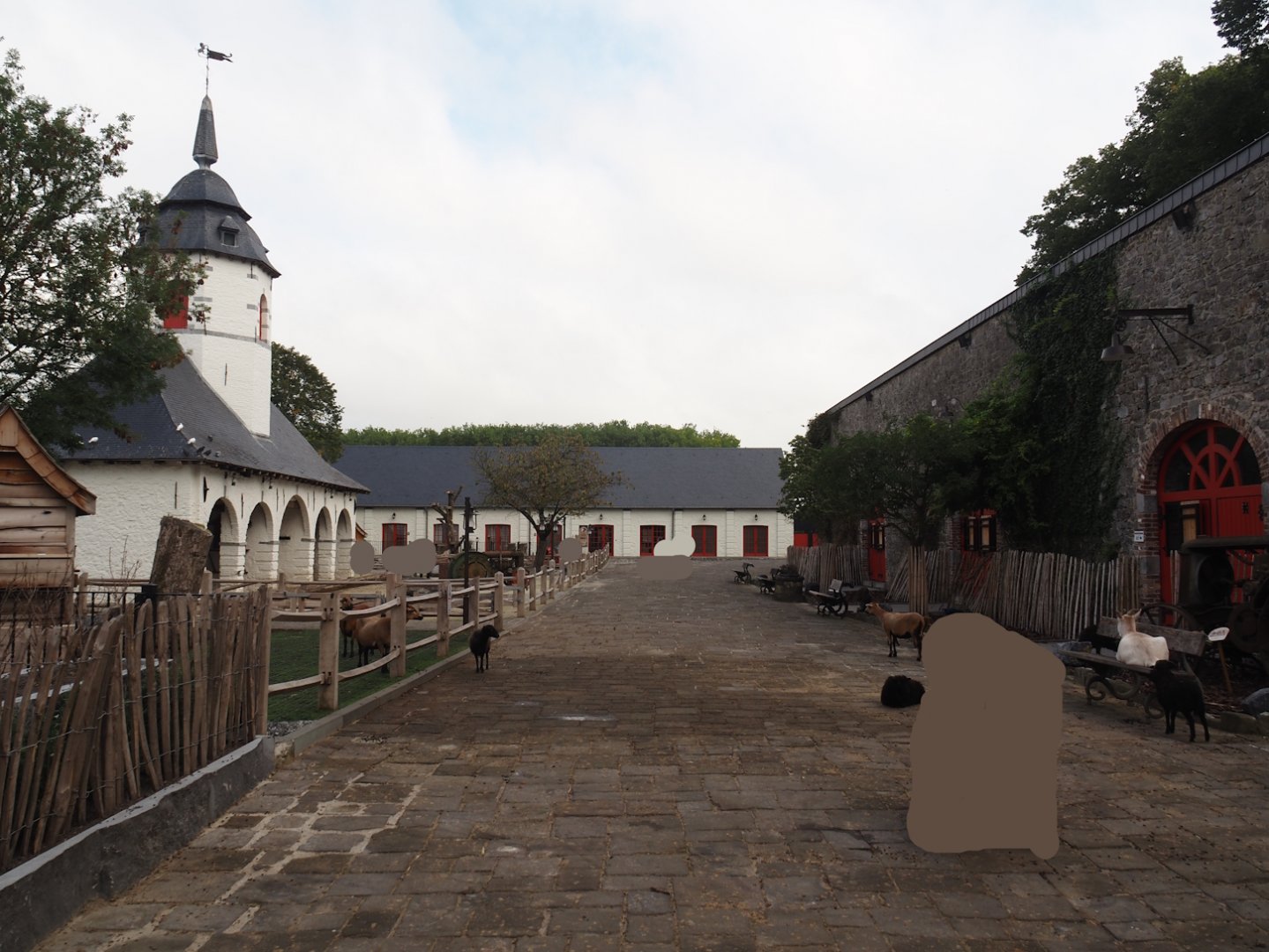 Renovated farm area, 2024-09-17