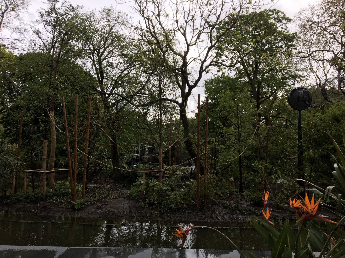 Renovated gibbon island, front view