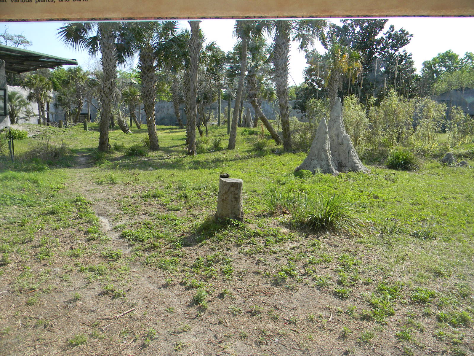 "Renovated" Gorrilla Exhibit