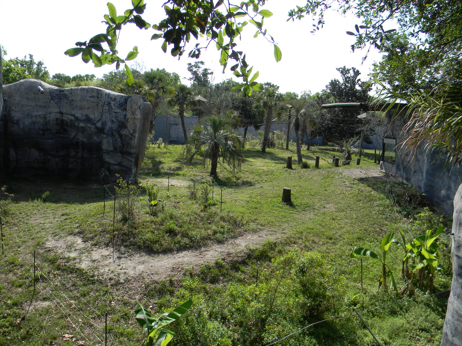 "Renovated' Gorrilla exhibit