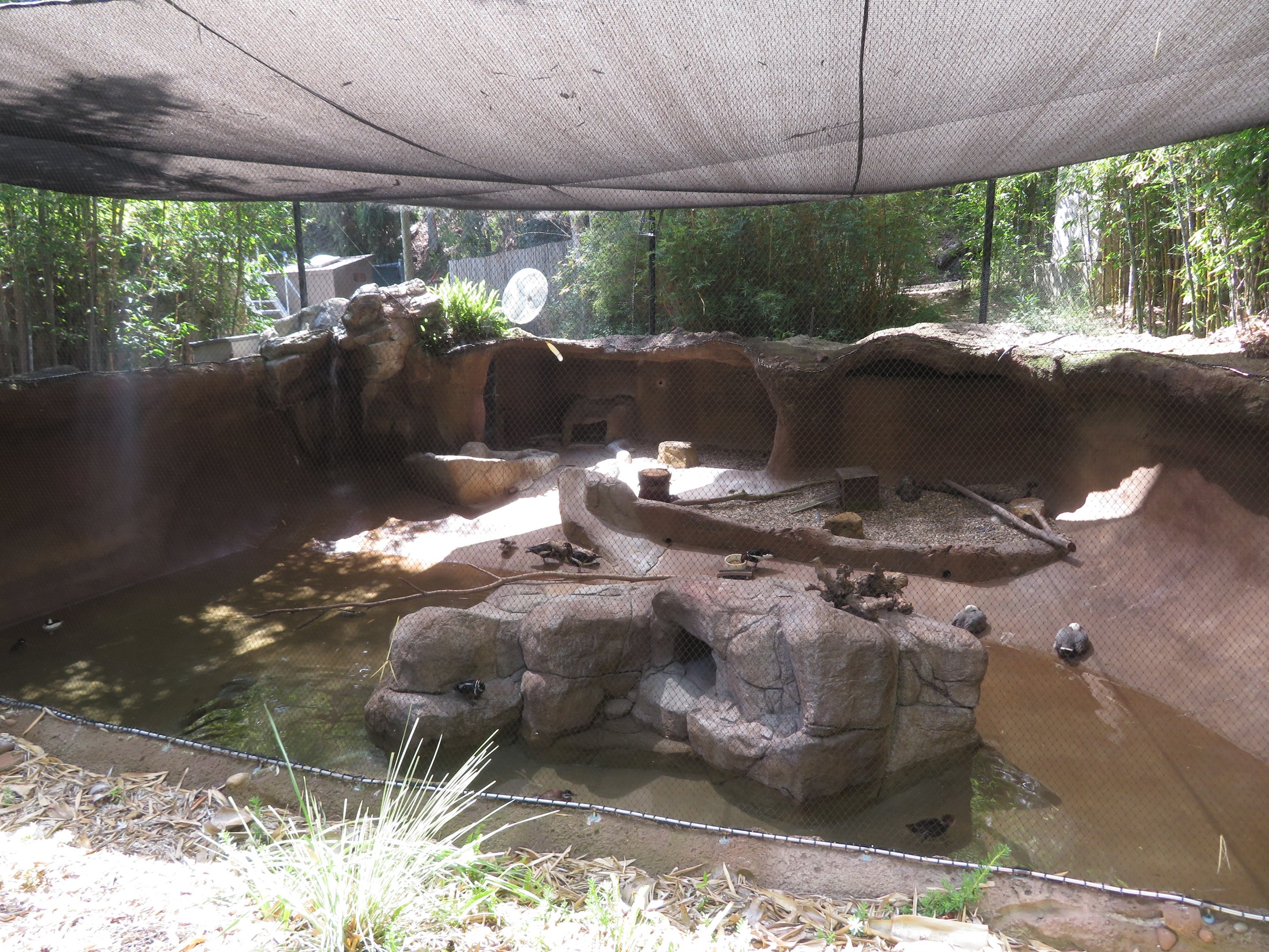 Renovated Grotto for Waterfowl