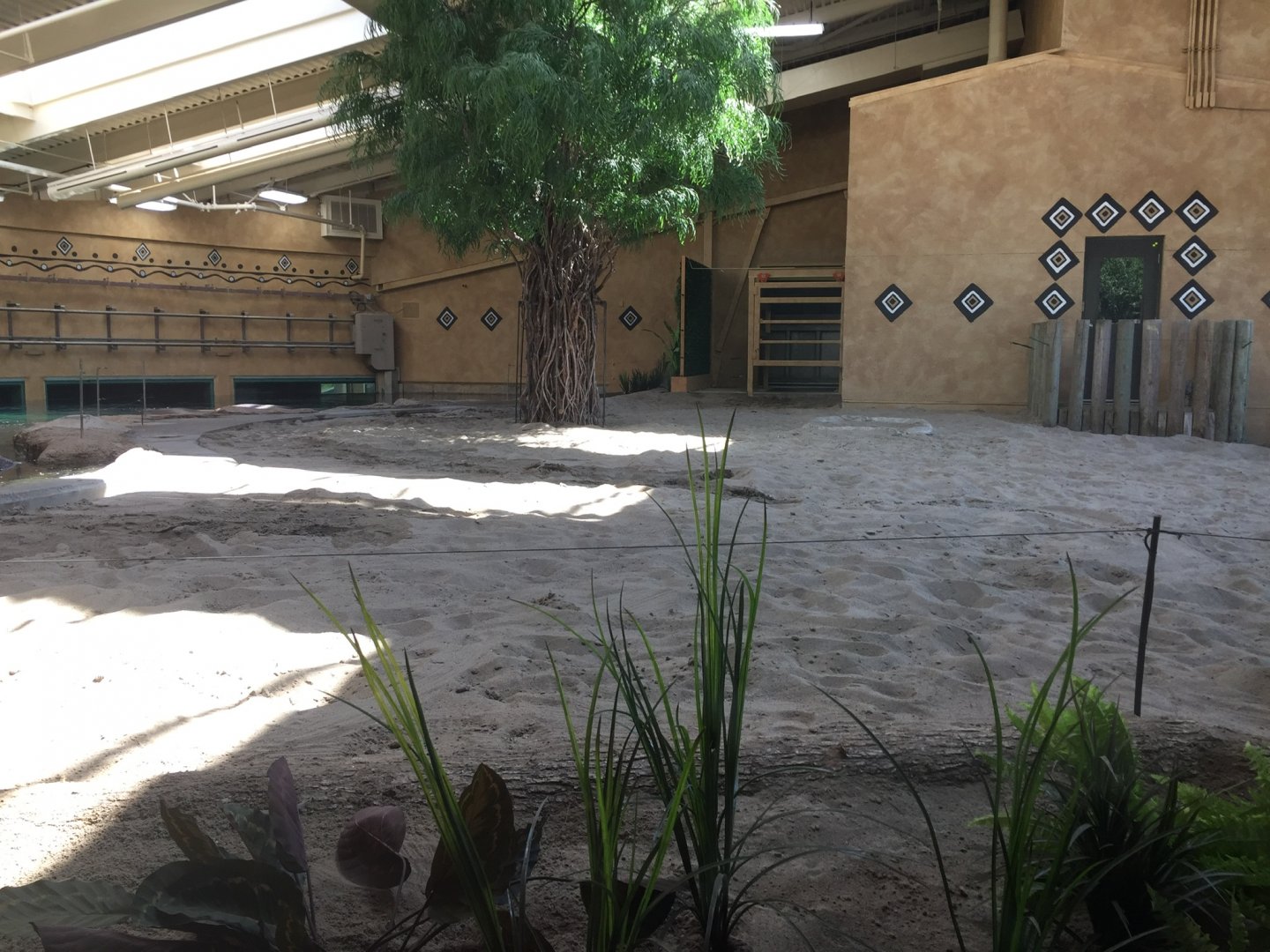 Renovated Hippo Exhibit