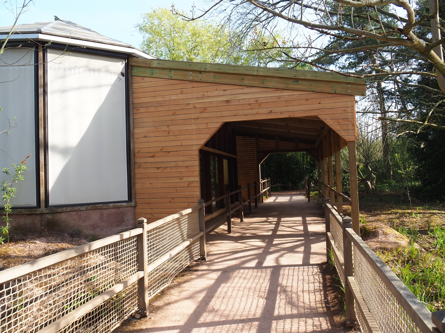Renovated koala viewing area, 2022-04-12
