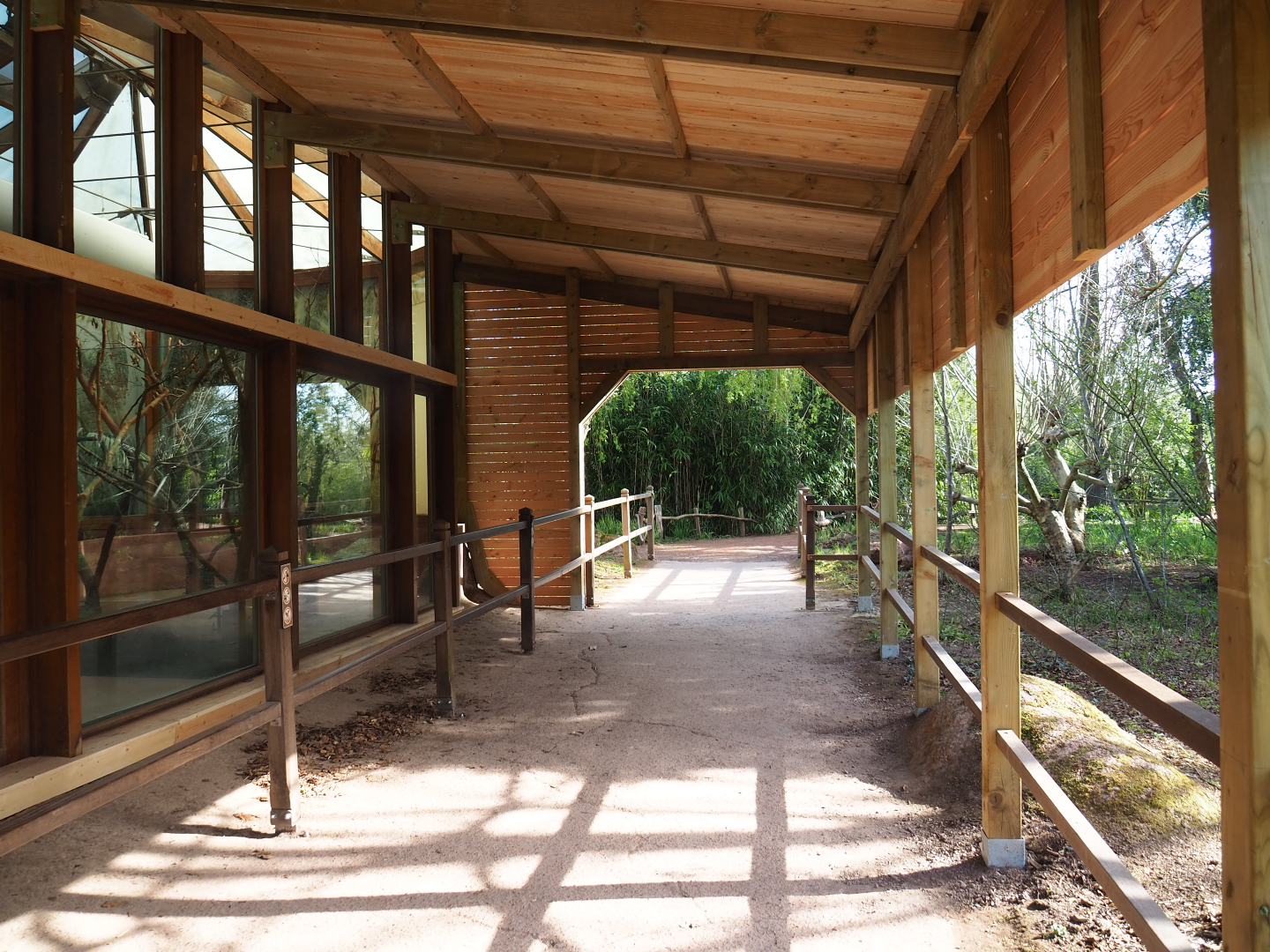 Renovated koala viewing area, 2022-04-12