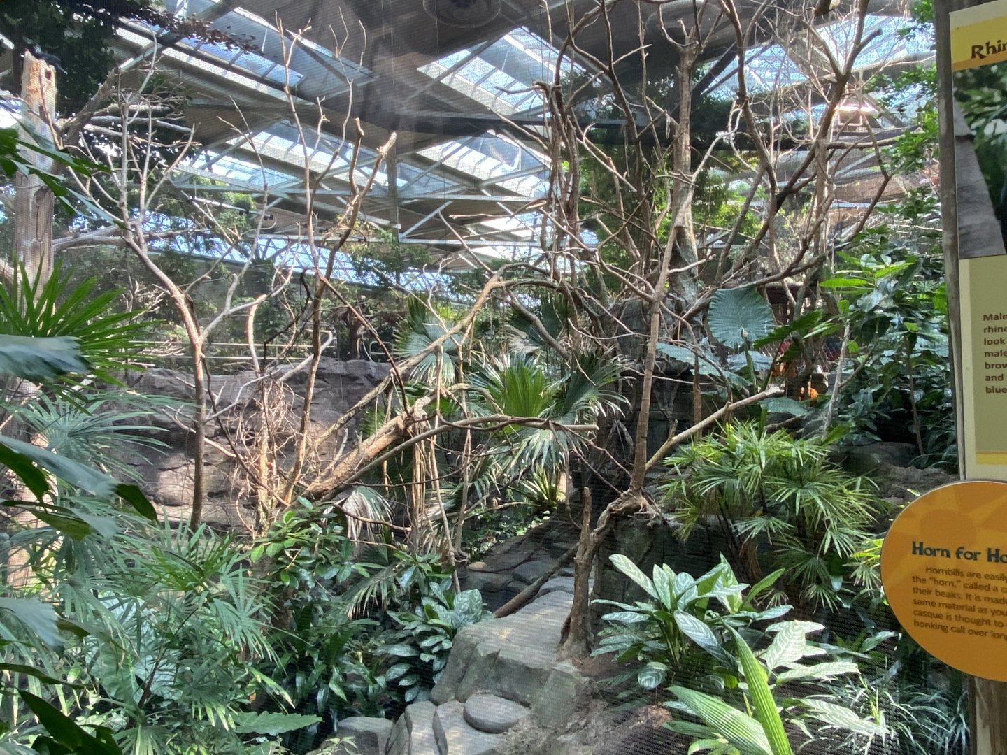 RENOVATED Left Side of Rhinoceros Hornbill Aviary