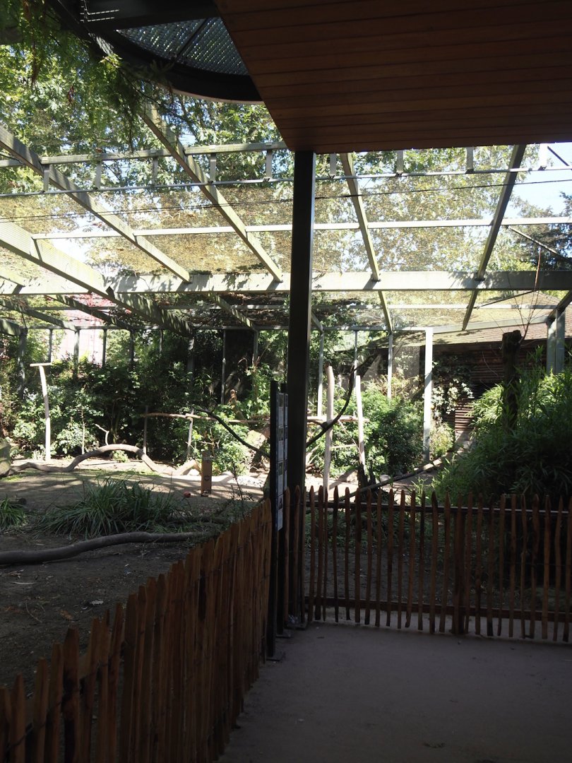 Renovated lower viewing area for Hippo house aviary, 2024-07-28