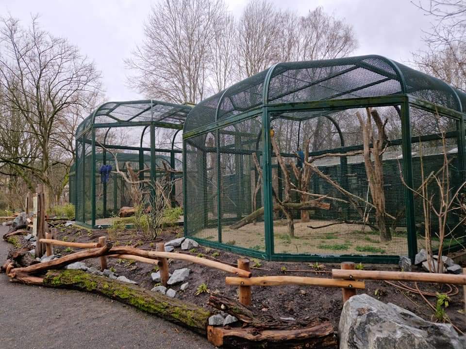 Renovated Macaw exhibits opposite the Gayal