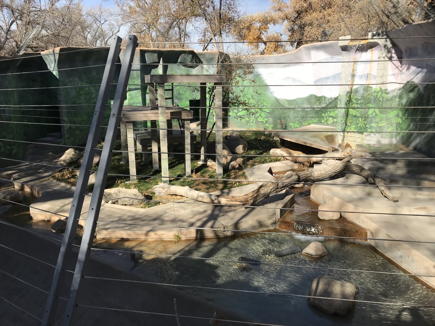 Renovated Malayan Tiger Exhibit