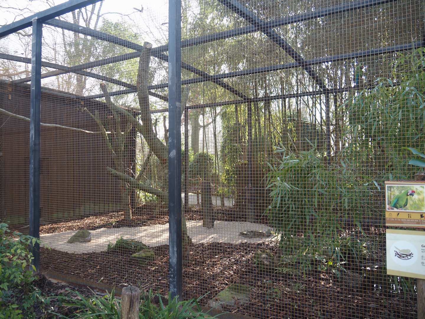 Renovated Mexican military macaw aviary, 2025-03-02