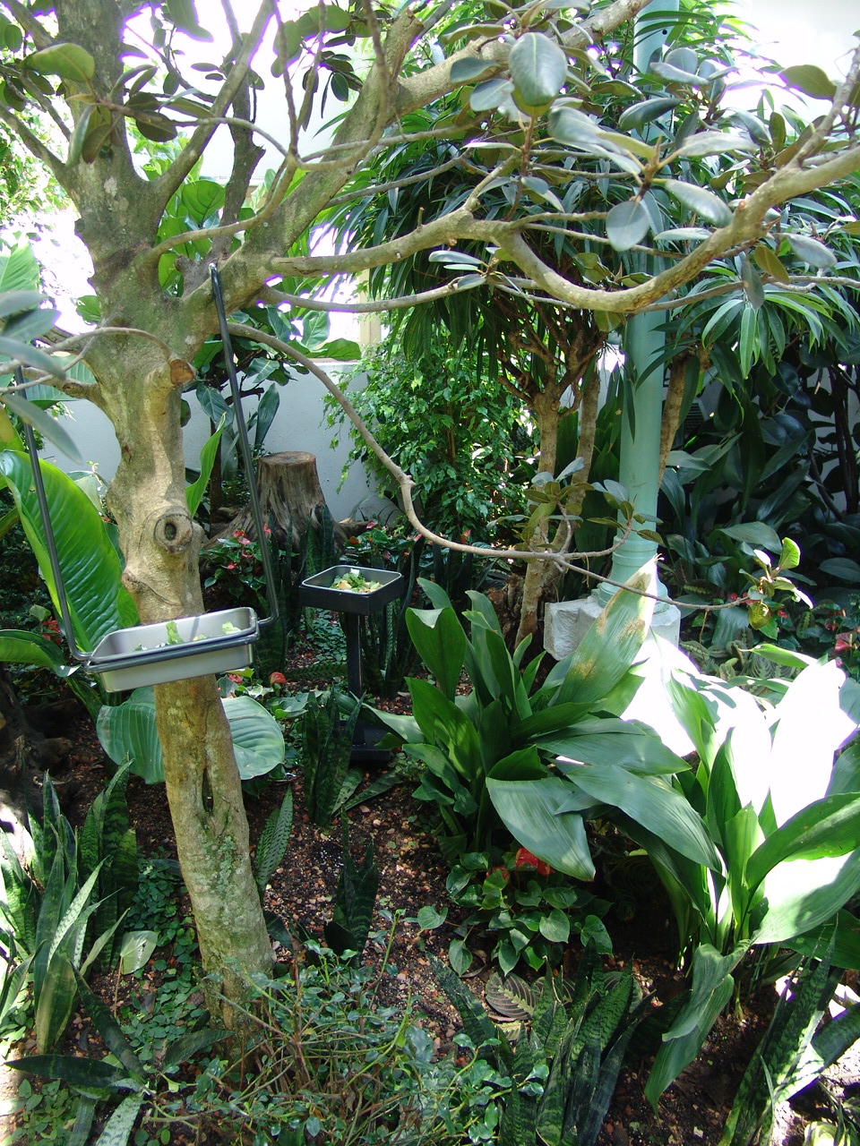 Renovated Monkey House