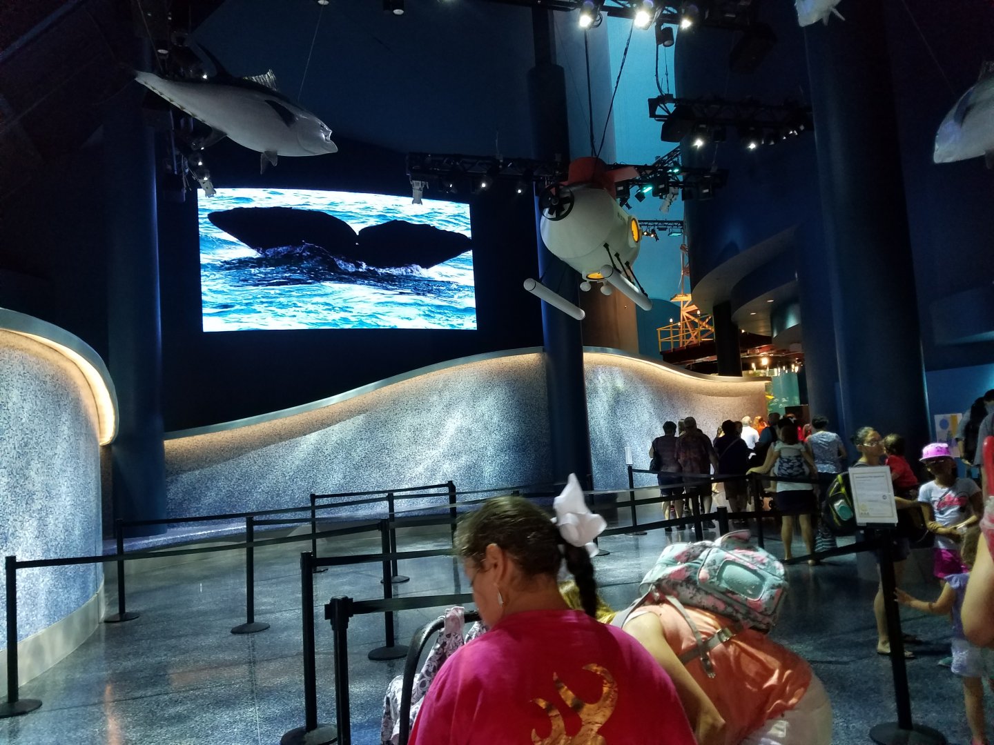 Renovated Moody Gardens Aquarium Entrance
