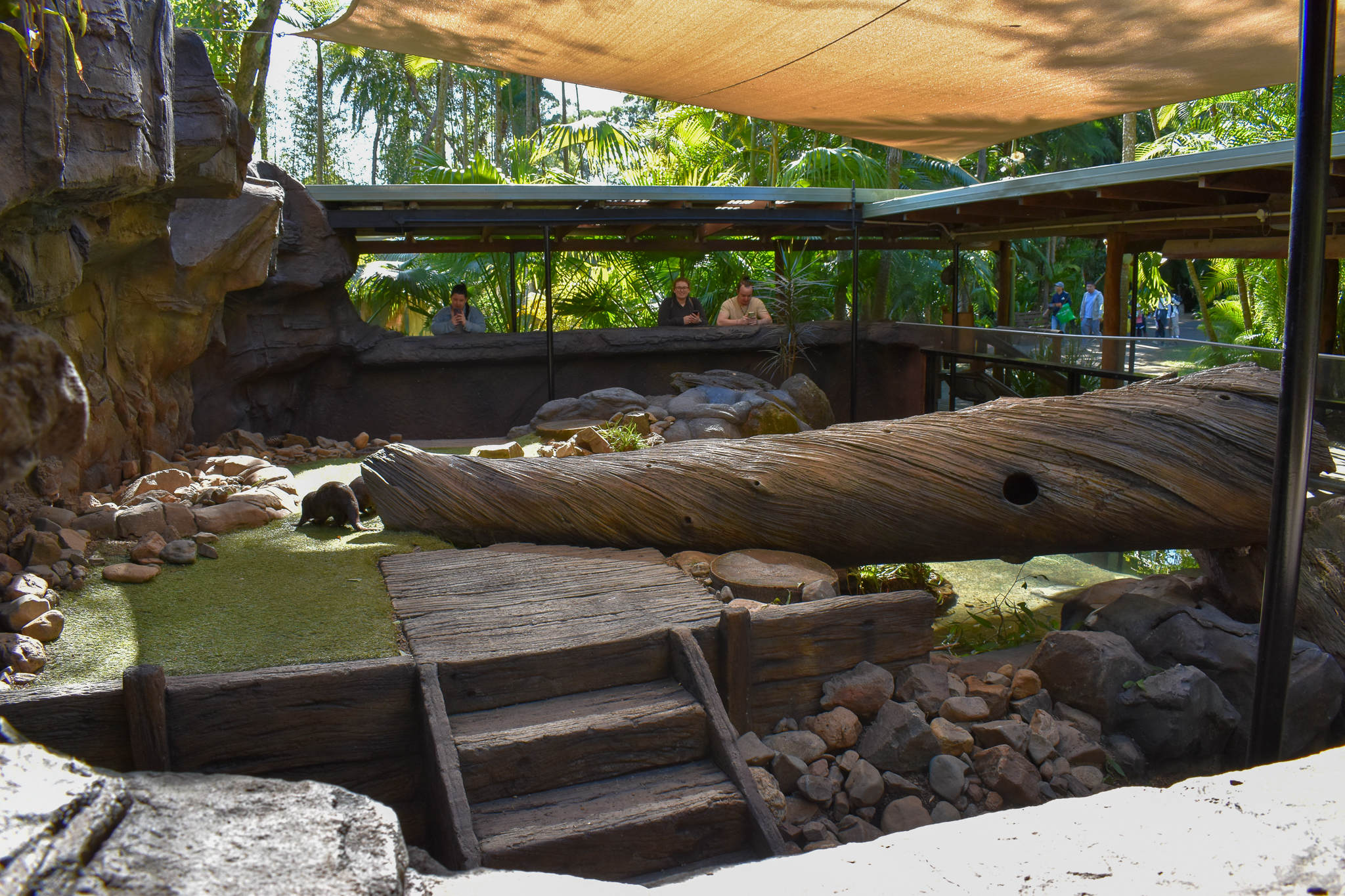 Renovated Otter Enclosure
