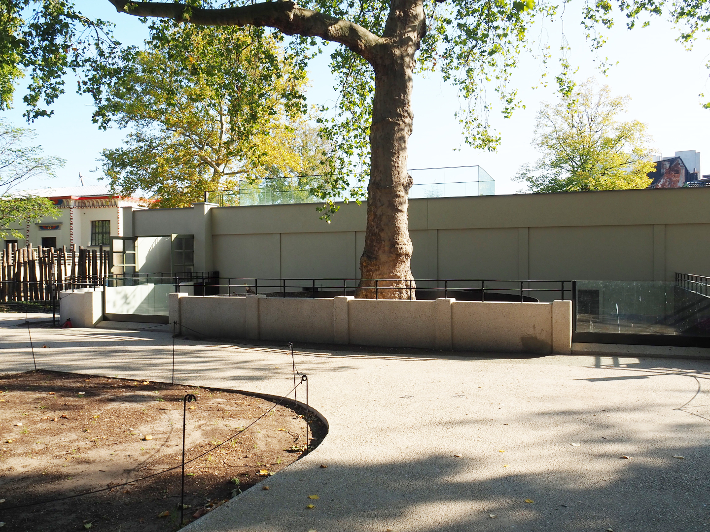 Renovated pig house with Yellow mongoose exhibit and viewing area on roof, 2020-09-20