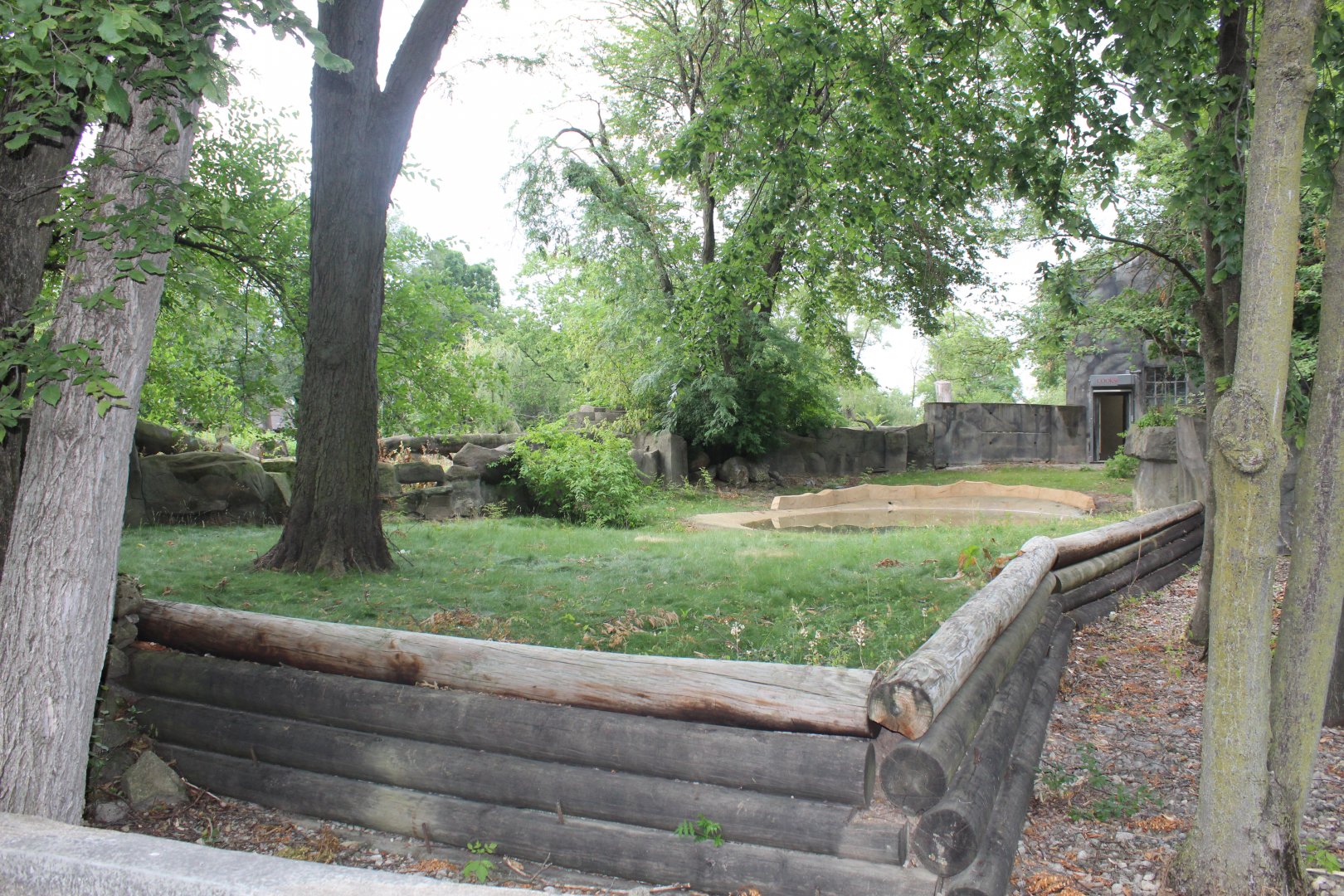 Renovated Pygmy Hippo Exhibit - Pachyderm House