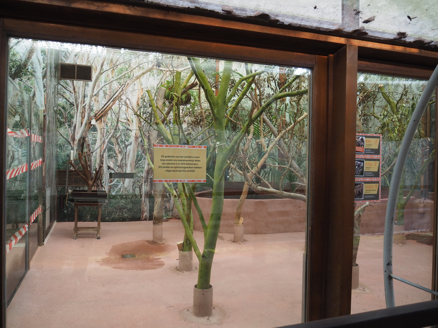 Renovated Queensland koala house, 2019-12-28