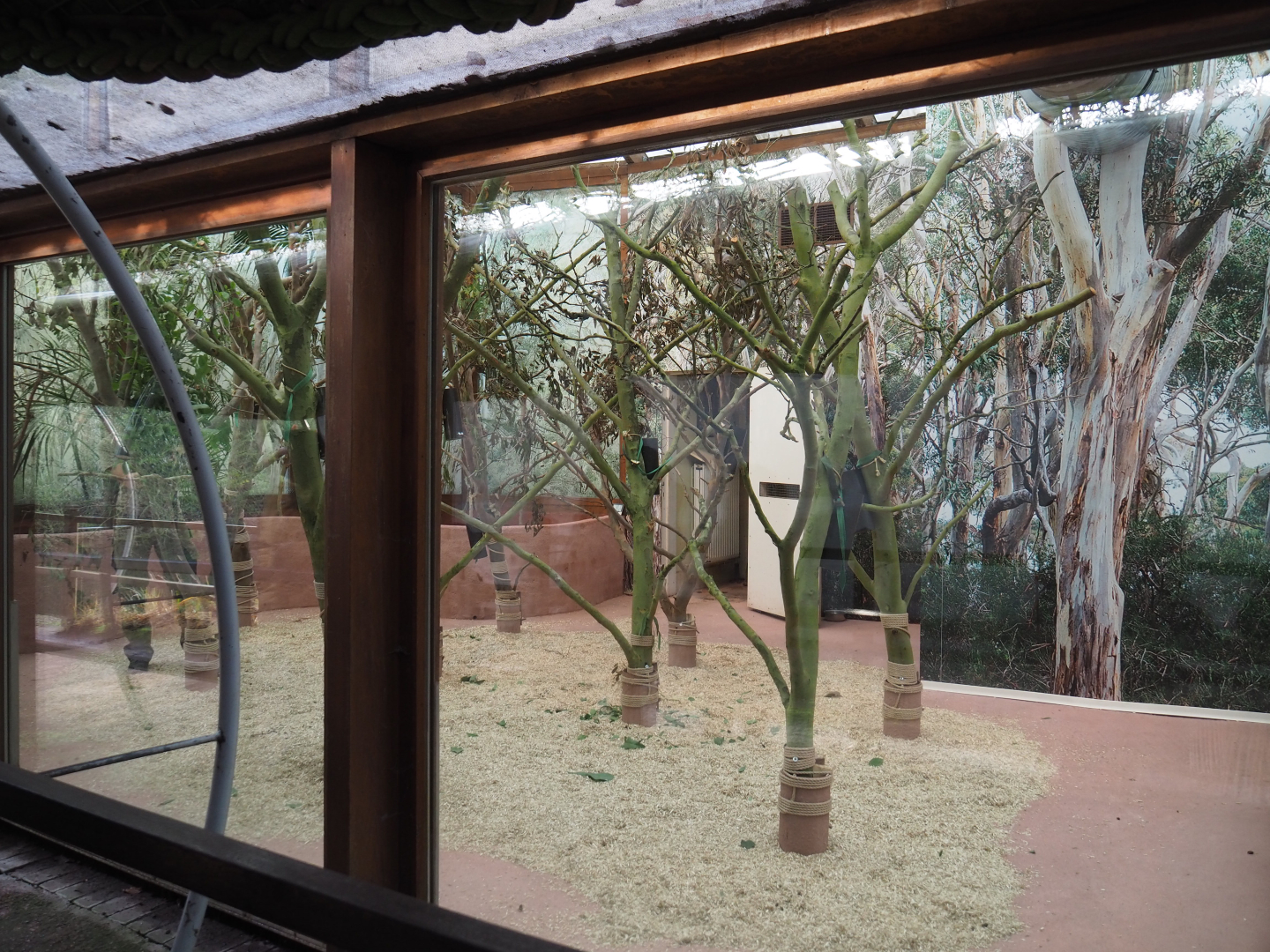 Renovated Queensland koala house, 2019-12-28