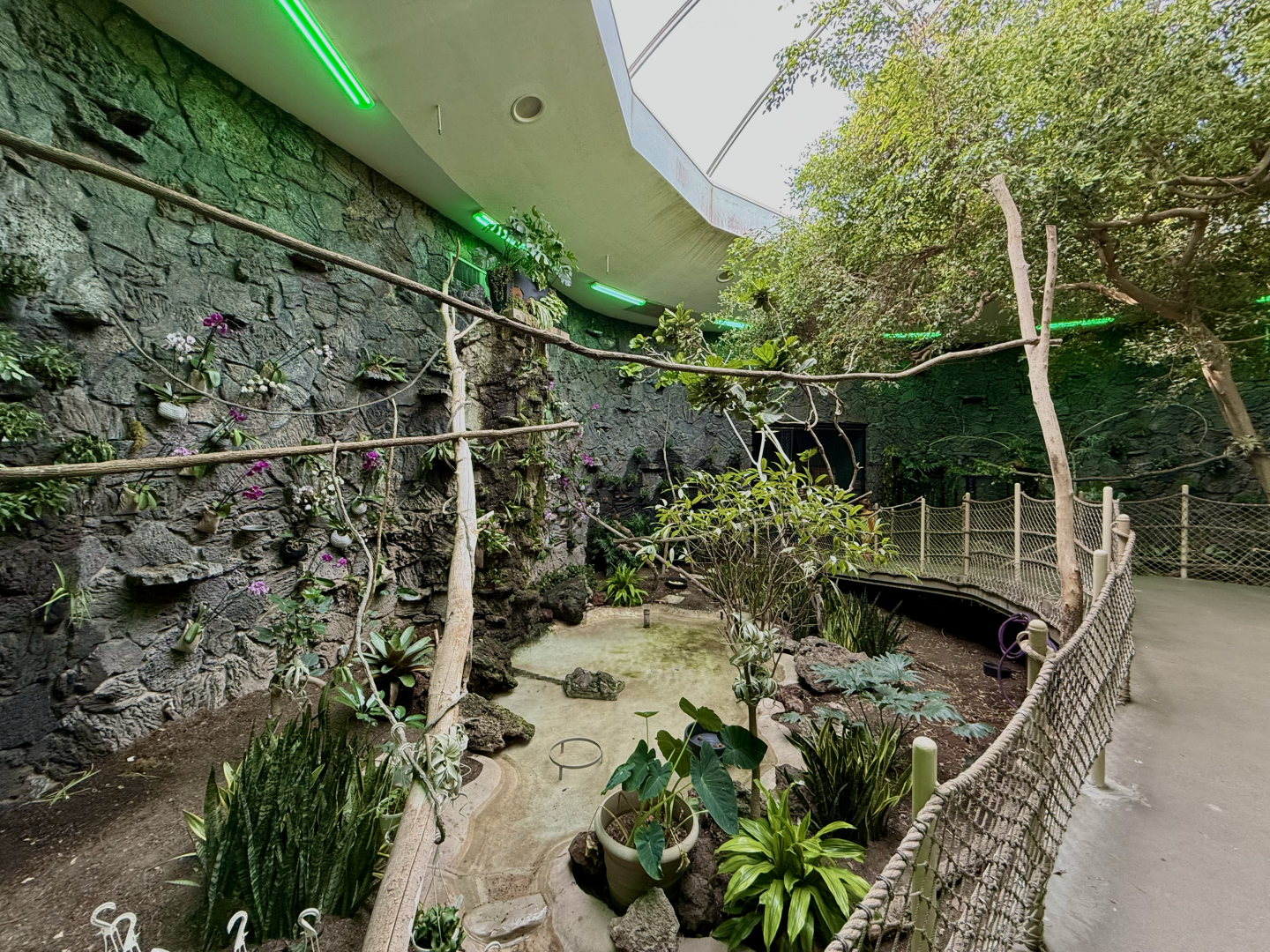 Renovated Rainforest Atrium