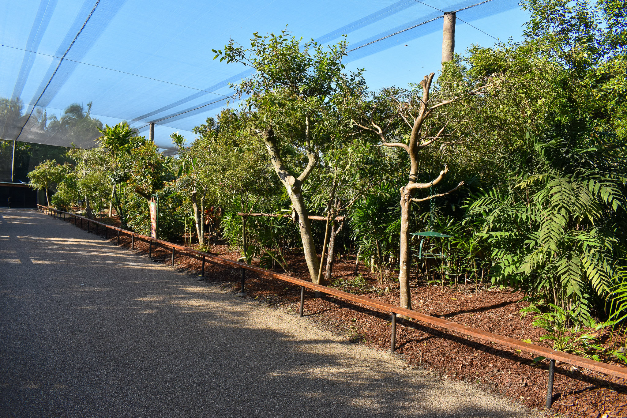 Renovated Rainforest Aviary