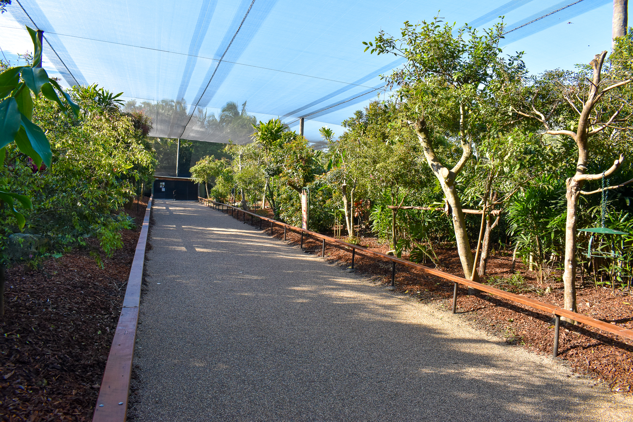 Renovated Rainforest Aviary