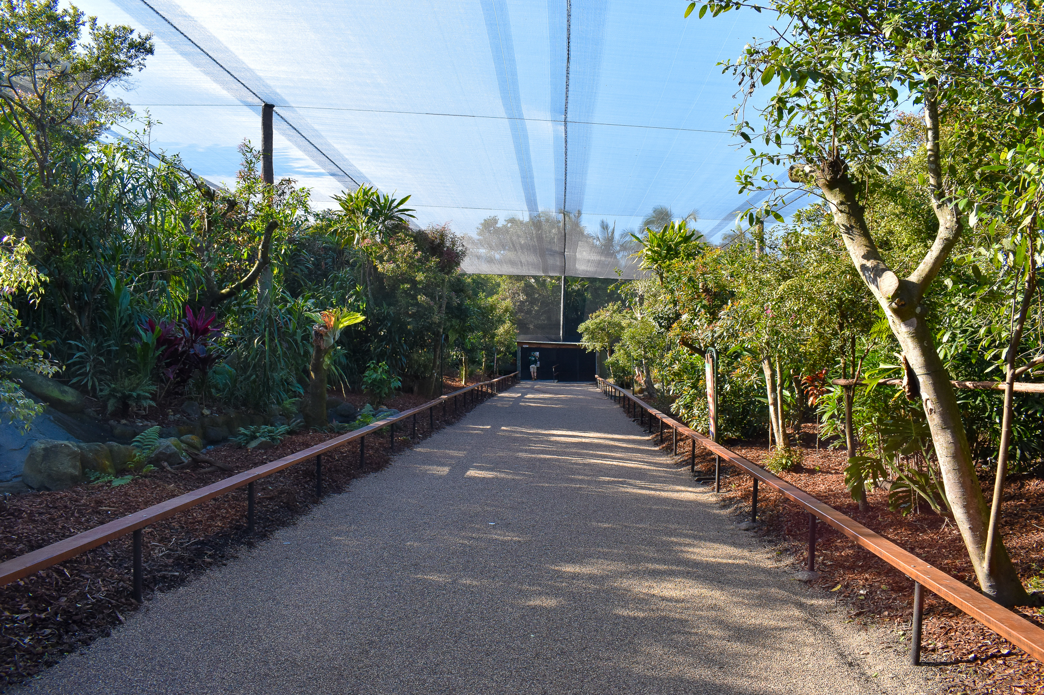 Renovated Rainforest Aviary