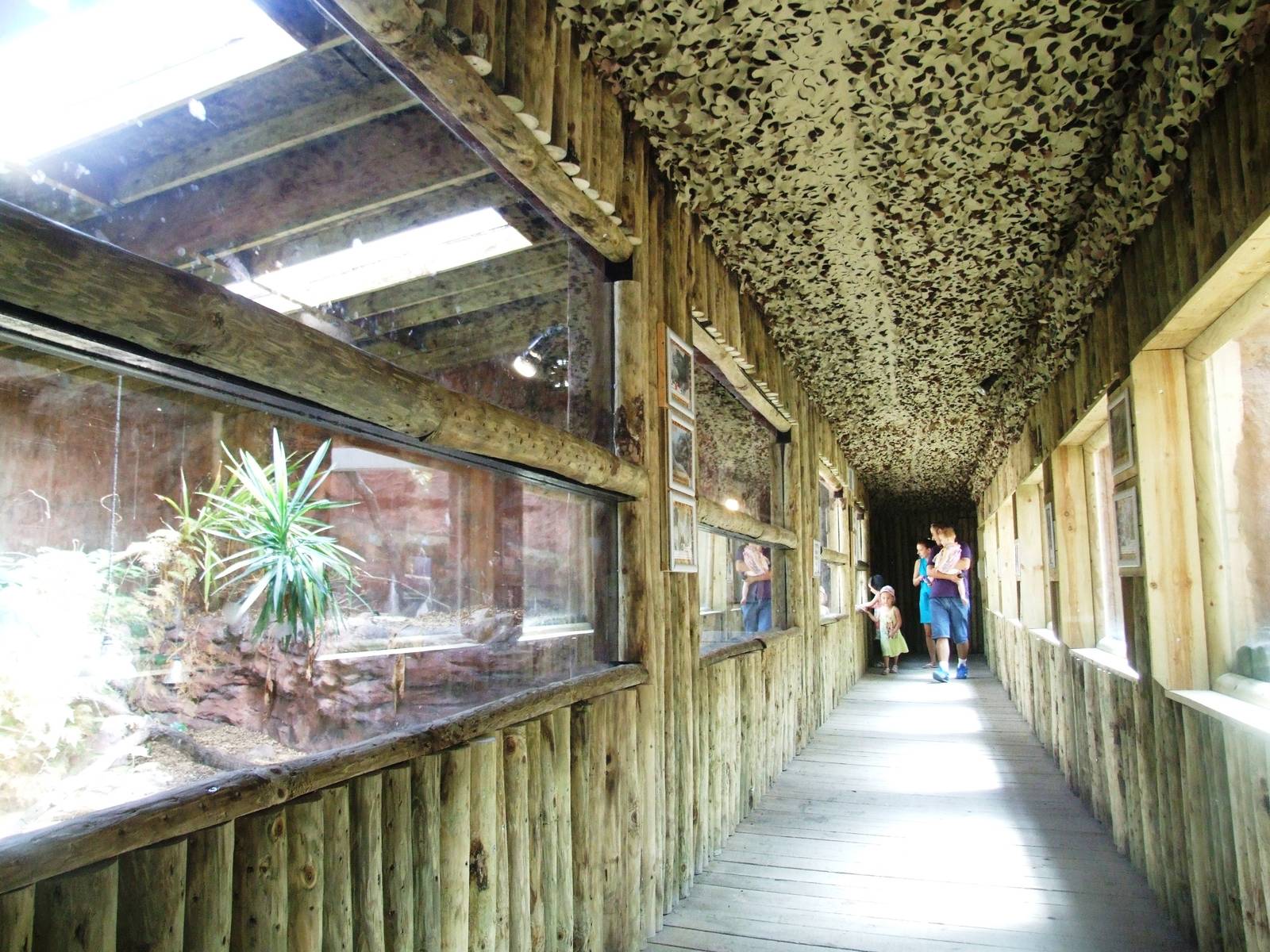 Renovated Reptile House at Dudley, 14/07/13