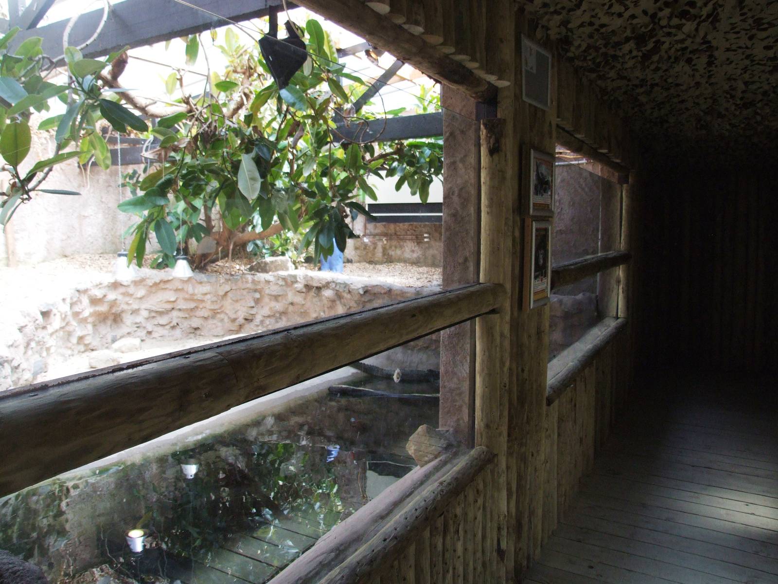 Renovated Reptile House at Dudley, 14/07/13