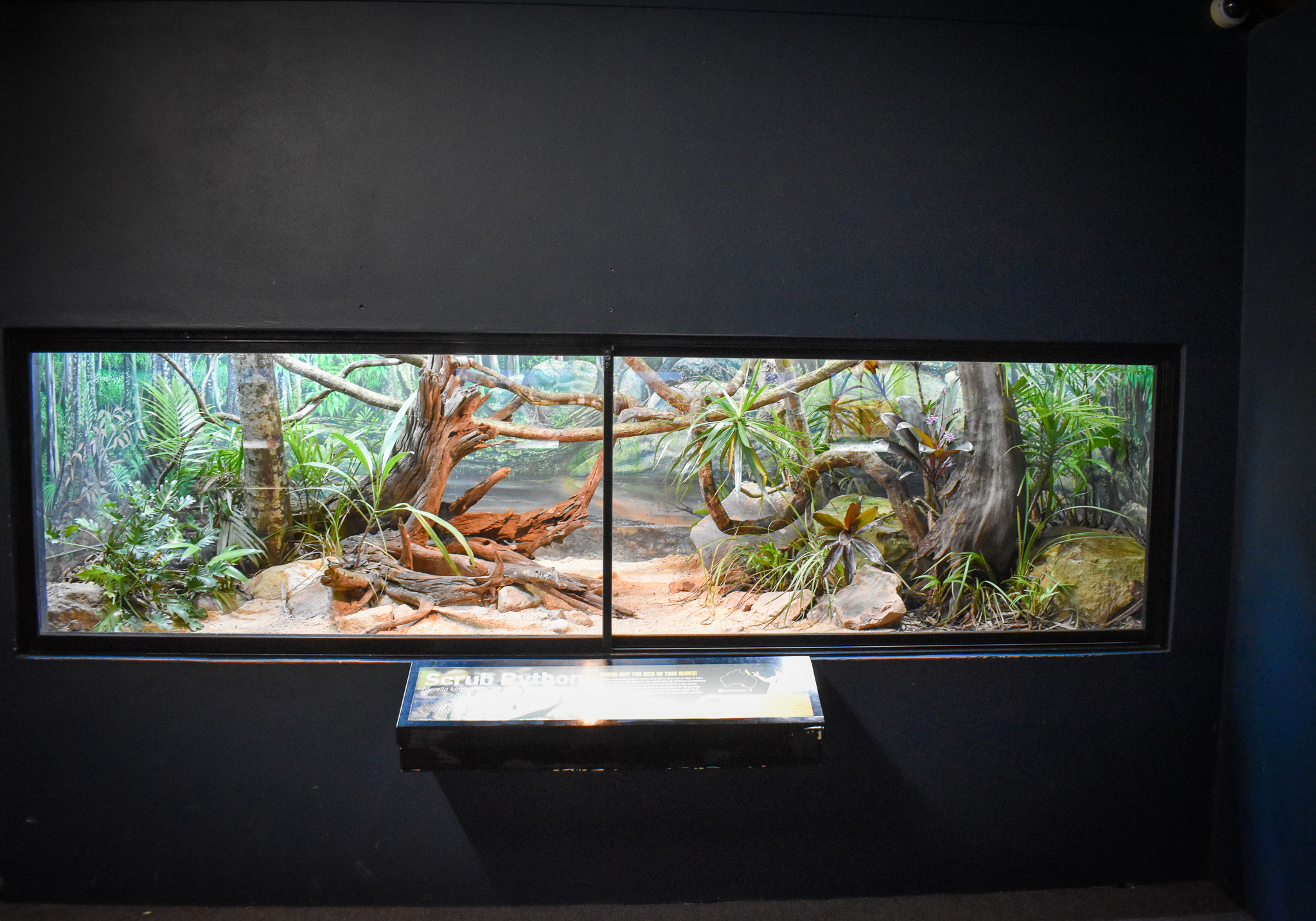 Renovated Scrub Python Enclosure