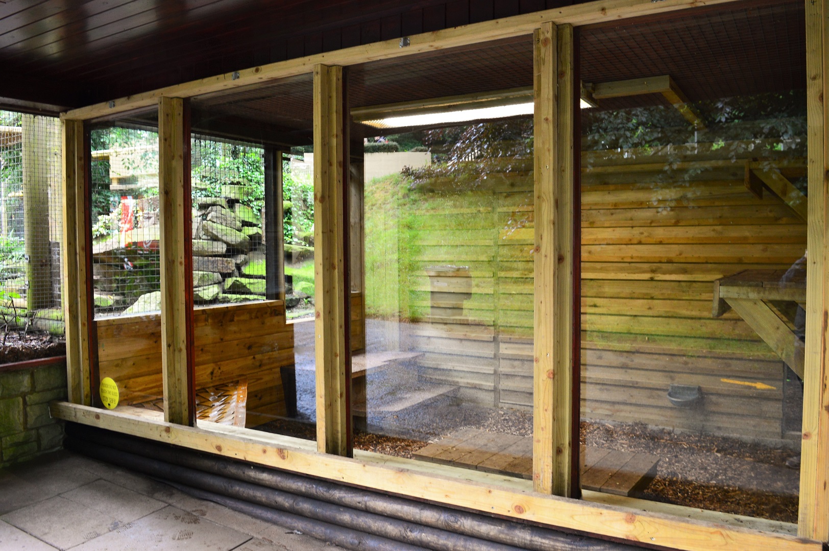 Renovated snow leopard on-show indoor area
