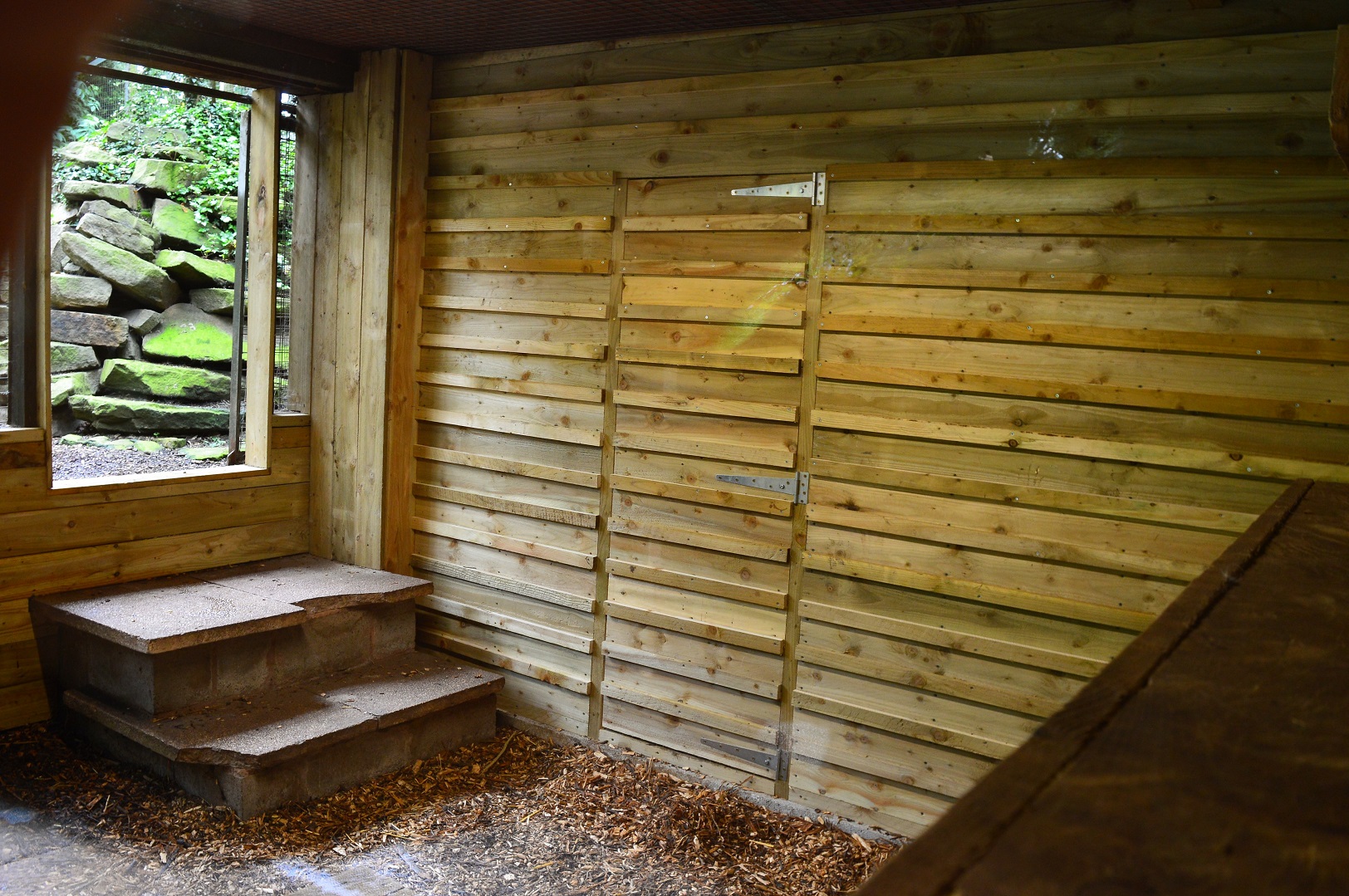 Renovated snow leopard on-show indoor area