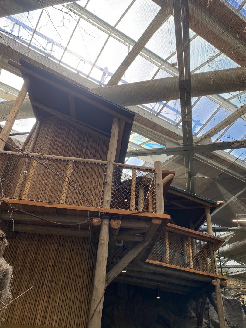 Renovated Southeast Asian walk-through aviary- new overlook area