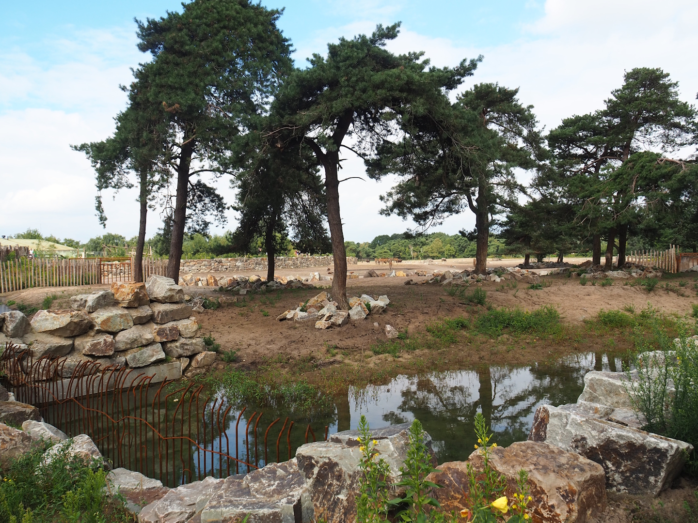 Renovated Southern white rhinoceros separation paddock, 2023-08-15