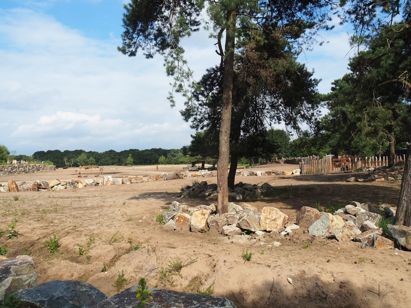 Renovated Southern white rhinoceros separation paddock, 2023-08-15