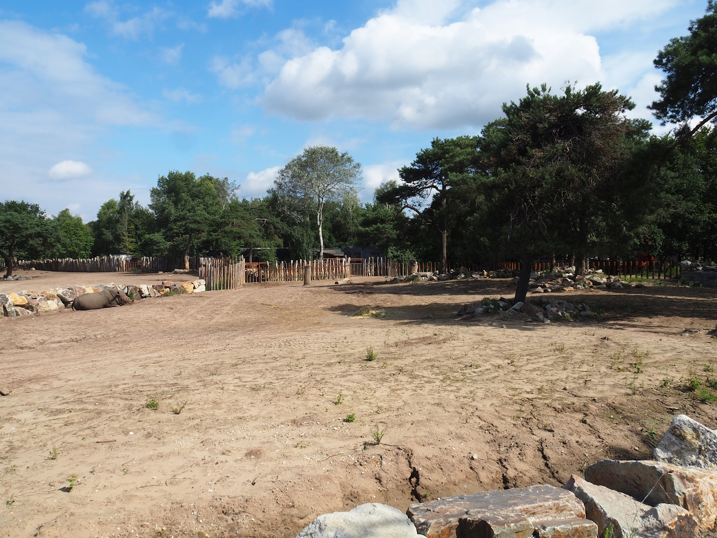 Renovated Southern white rhinoceros separation paddock, 2023-08-15