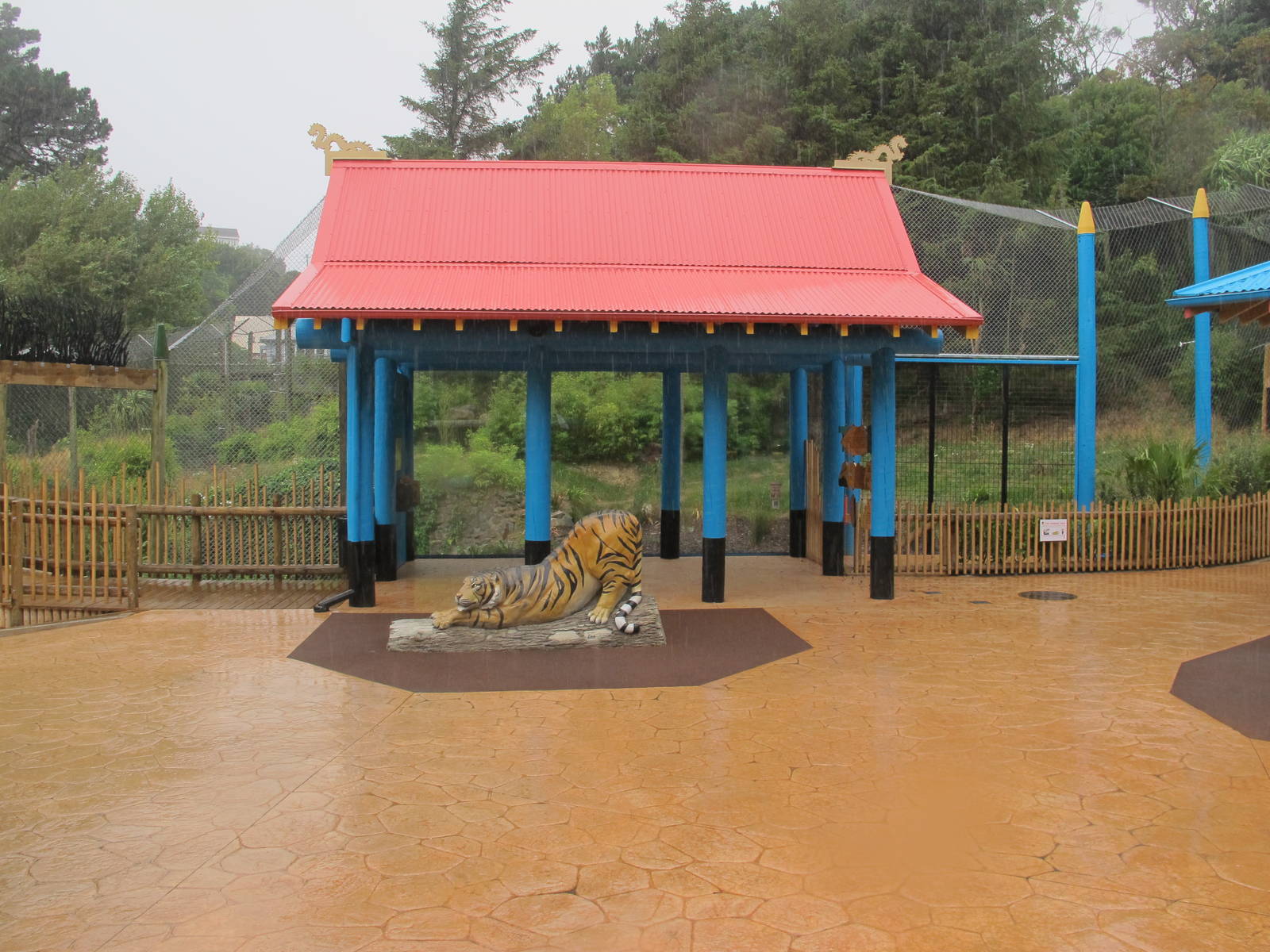 Renovated Sumatran Tiger Exhibit - Wellington Zoo 2013