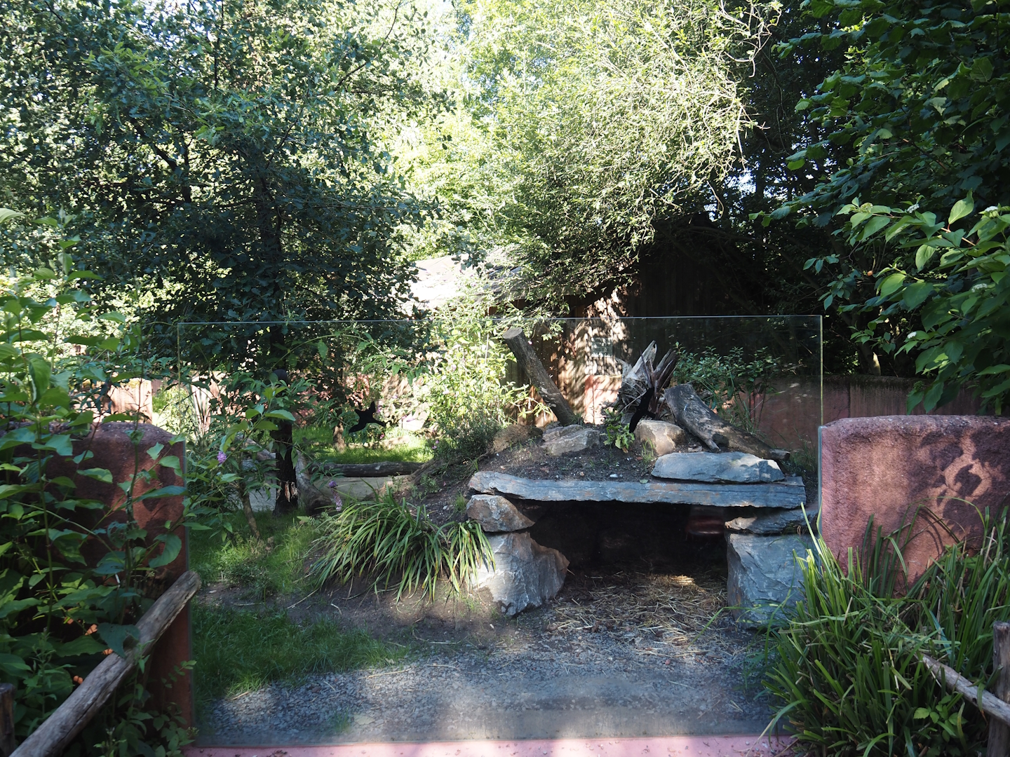 Renovated Tasmanian devil area - First Tasmanian devil exhibit, 2024-07-14