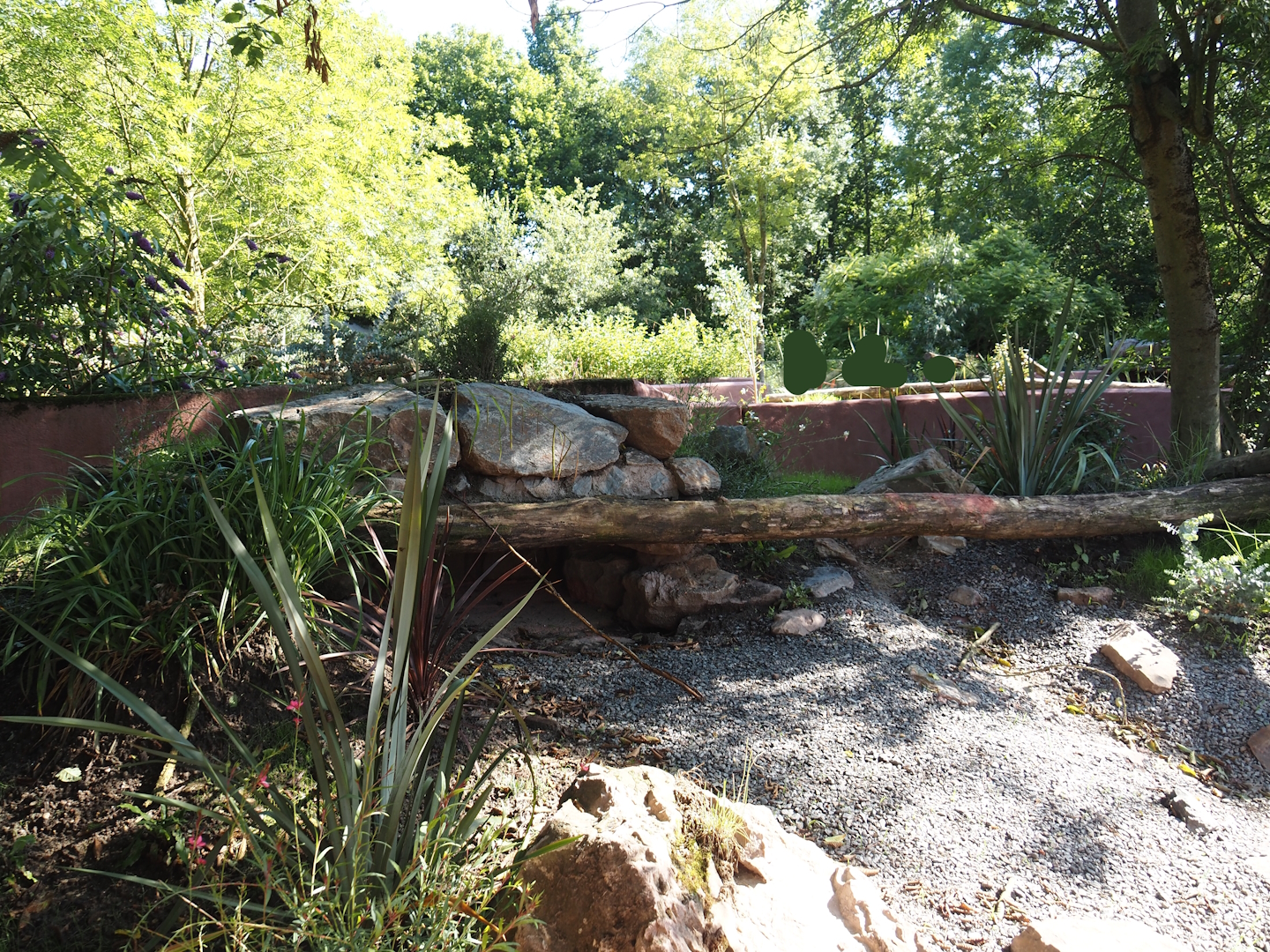 Renovated Tasmanian devil area - Fourth Tasmanian devil exhibit, 2024-07-14