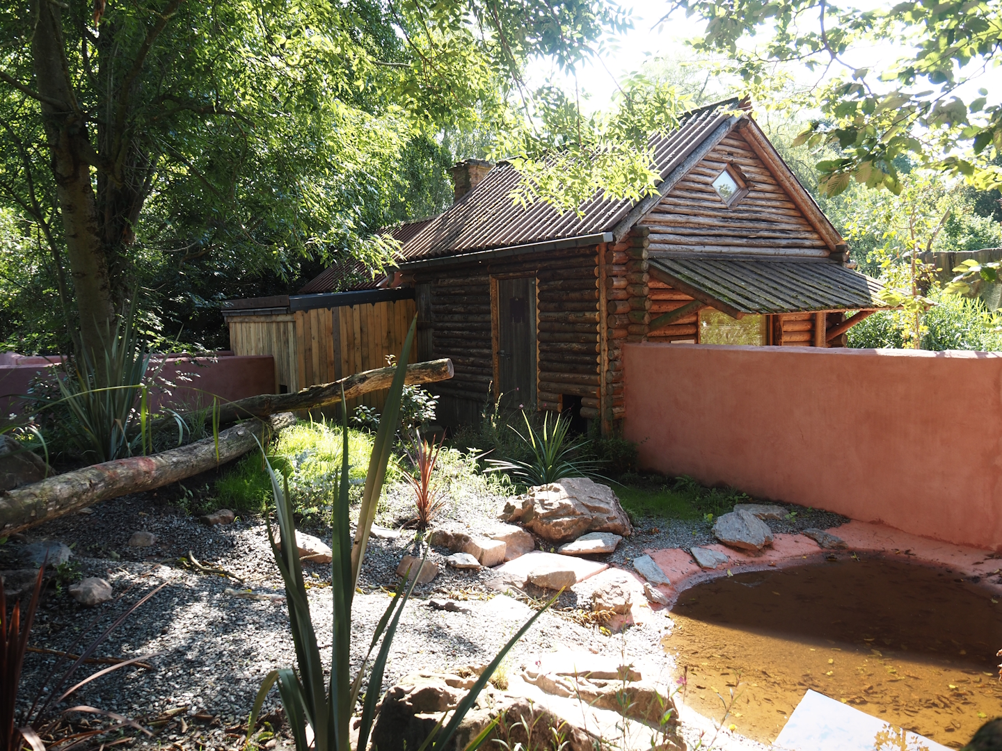 Renovated Tasmanian devil area - Fourth Tasmanian devil exhibit, 2024-07-14