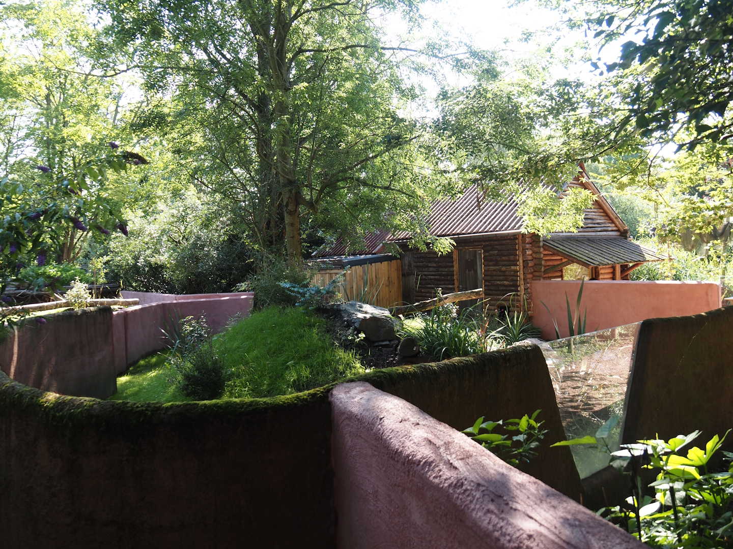 Renovated Tasmanian devil area - Fourth Tasmanian devil exhibit, 2024-07-14