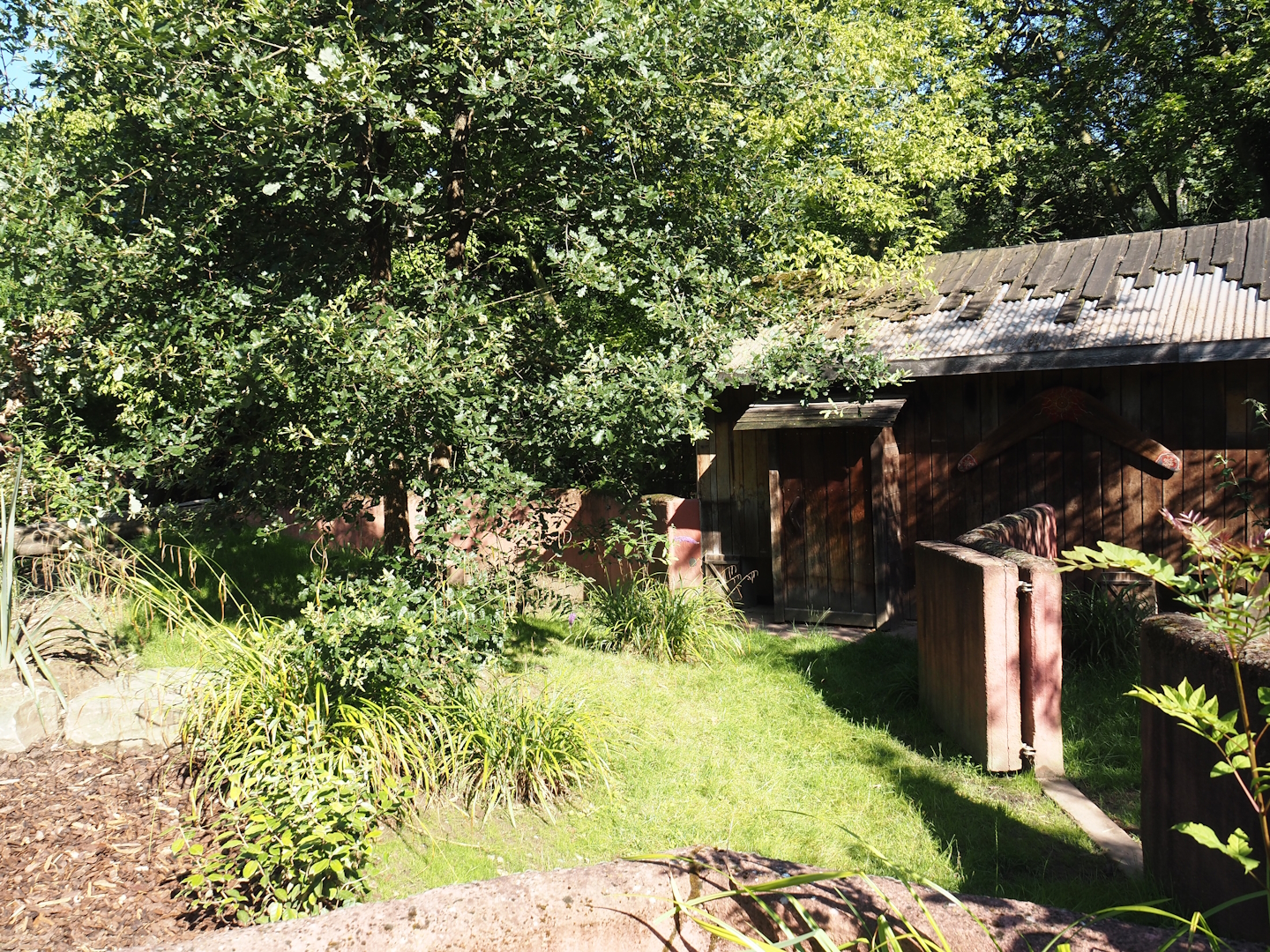 Renovated Tasmanian devil area - Second Tasmanian devil exhibit, 2024-07-14