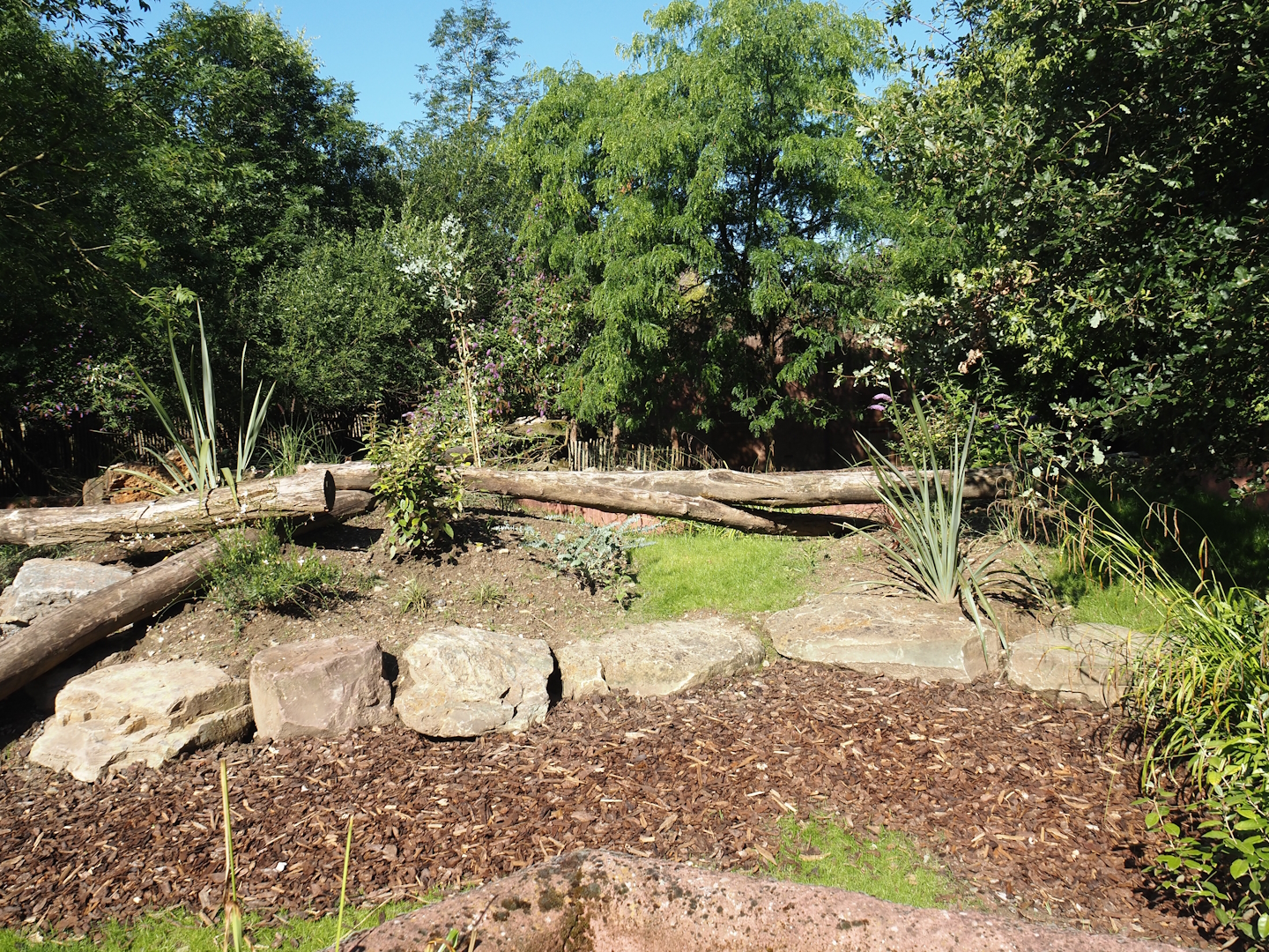 Renovated Tasmanian devil area - Second Tasmanian devil exhibit, 2024-07-14