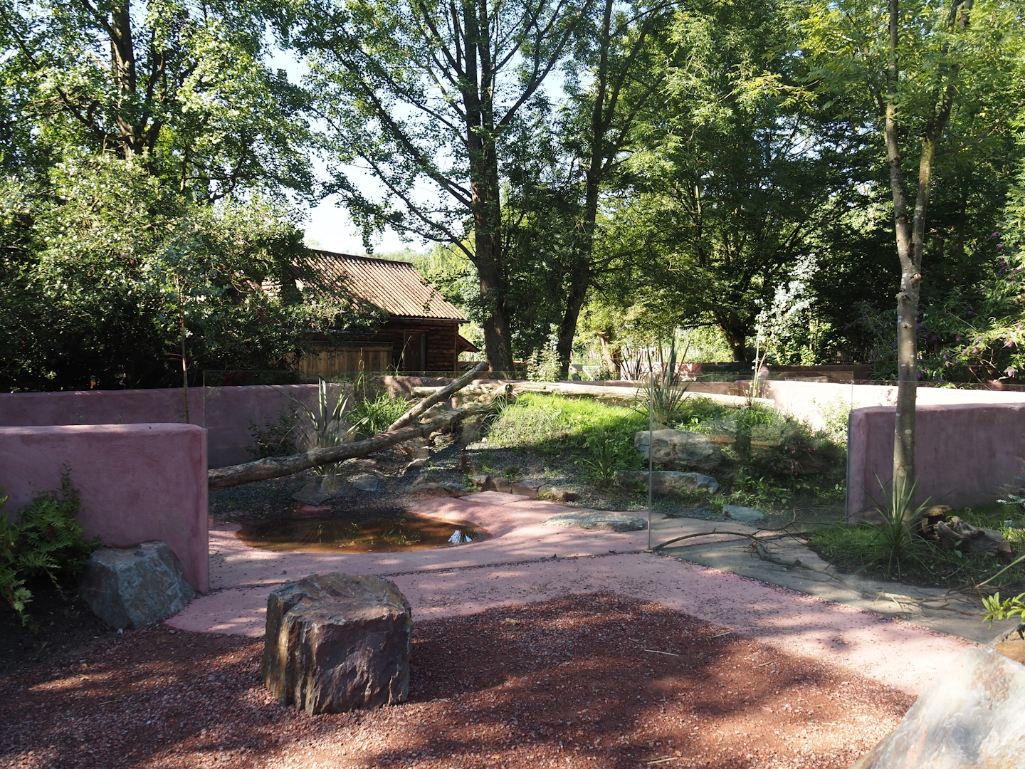 Renovated Tasmanian devil area - Third Tasmanian devil exhibit, 2024-07-14