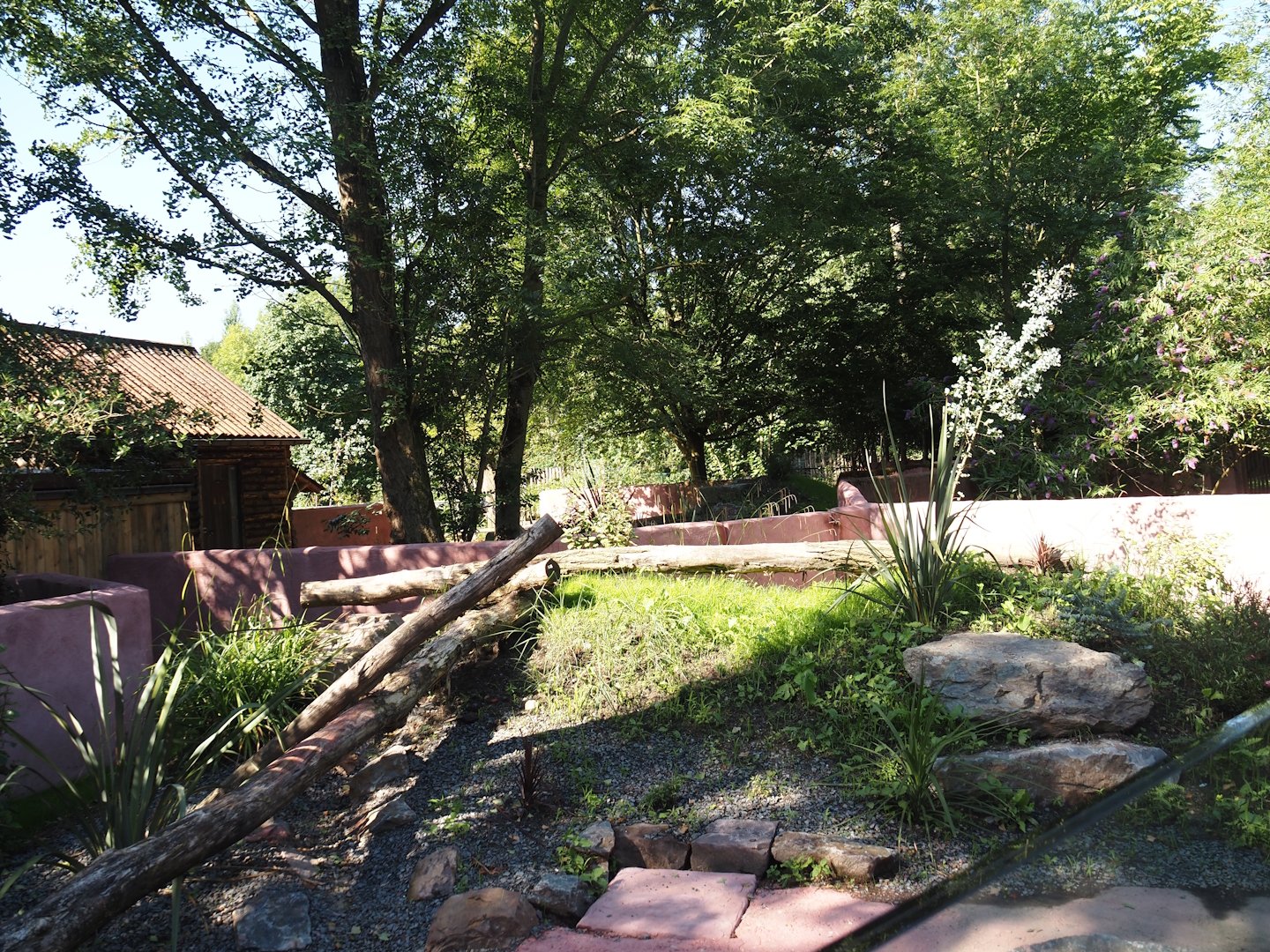 Renovated Tasmanian devil area - Third Tasmanian devil exhibit, 2024-07-14