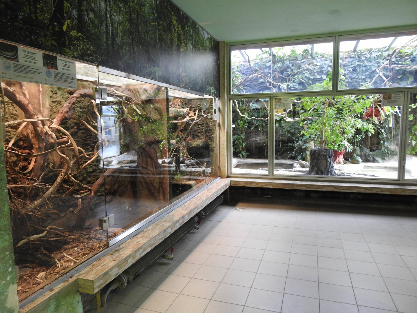 renovated terariums