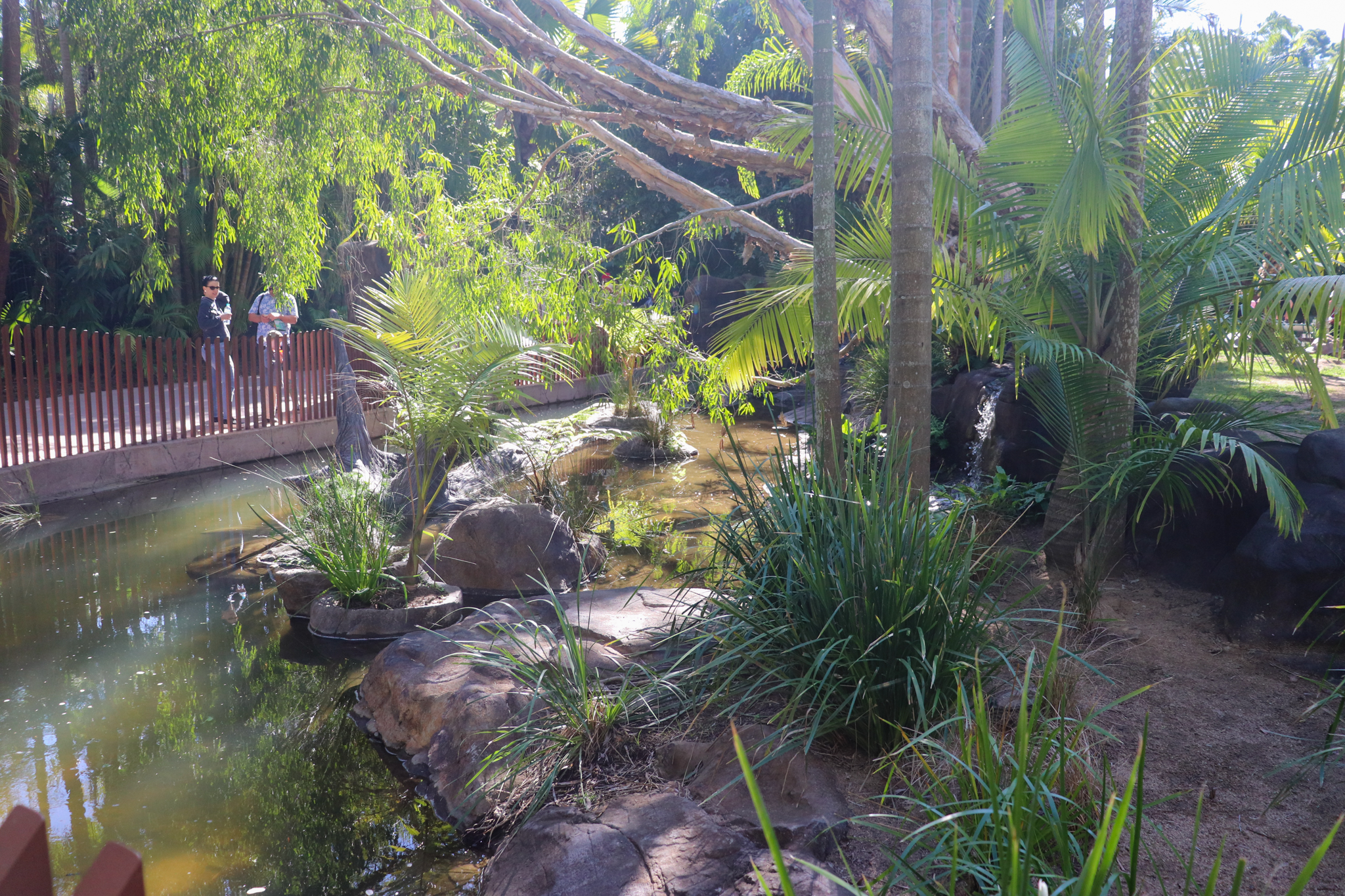 Renovated Turtle Enclosure - Crocodile Environmental Park (Renovated in 2020)