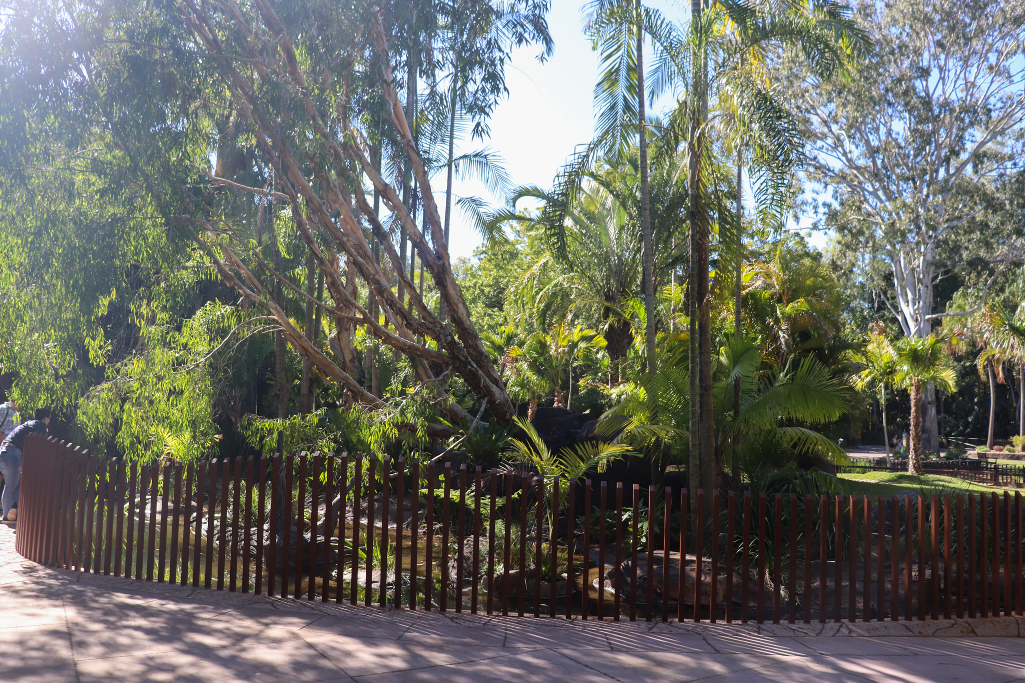 Renovated Turtle Enclosure - Crocodile Environmental Park (Renovated in 2020)